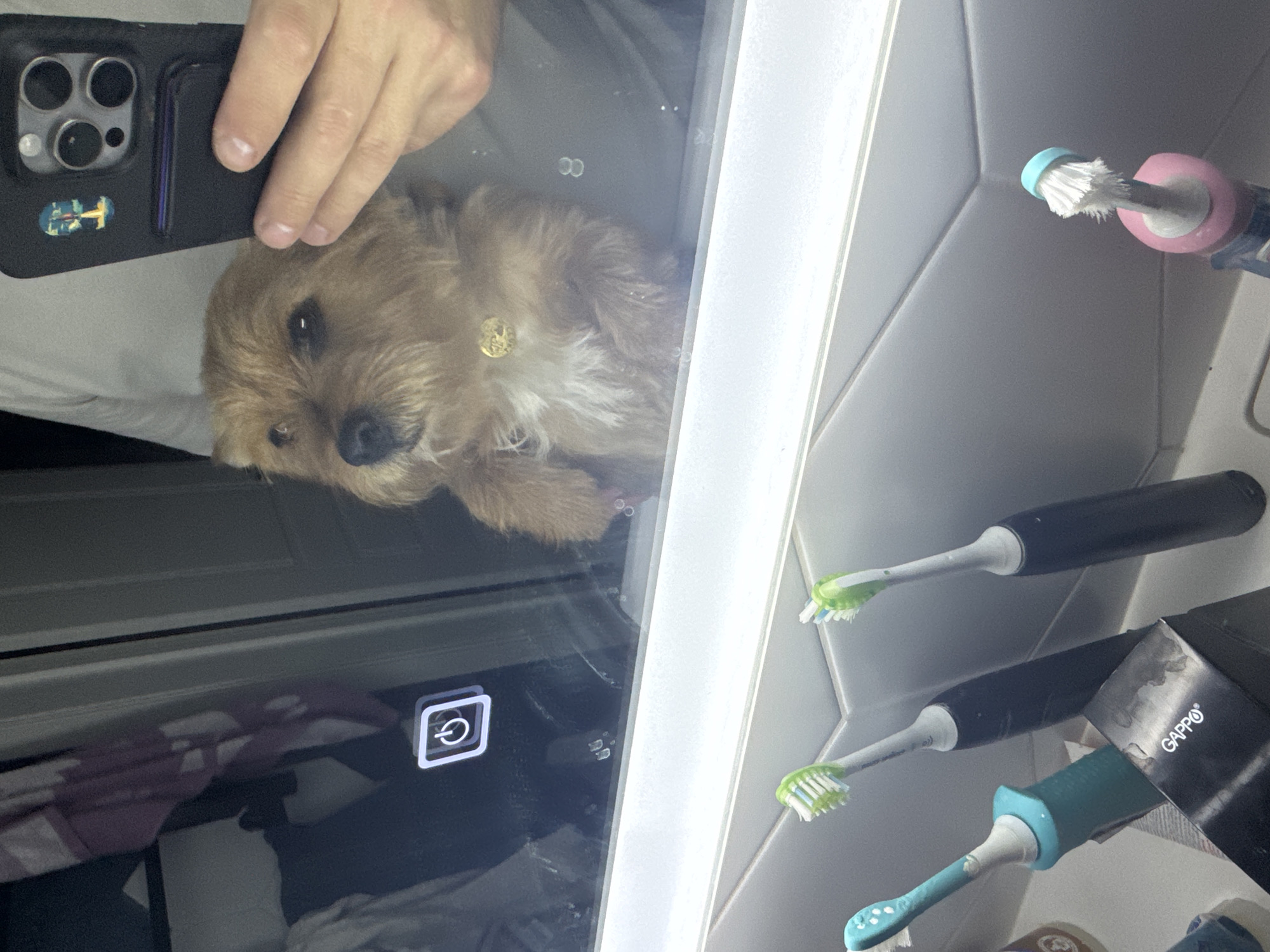 A dog is reflected in a mirror above a bathroom counter. The dog is a light brown terrier mix with a white chest and a gold tag around its neck. It is looking at the camera. In the foreground, four electric toothbrushes are visible, two black, one teal, and one pink. A black box with the word "GAPPO" is in front of the toothbrushes. The mirror has a power button icon in the upper left corner and a reflection of a person holding a phone in the upper right. The bathroom appears to be well-lit.