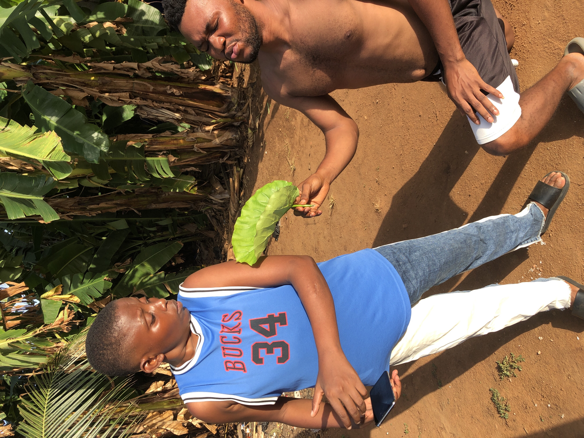 A shirtless man in black shorts kneels near a person wearing a blue basketball jersey with "BUCKS 34" on it, lying prone on the ground in an open, possibly outdoor, setting. The shirtless man holds a large green leaf, seemingly placing it on the chest of the person lying down. The ground is earthen, and there is a banana tree to the left of the scene.