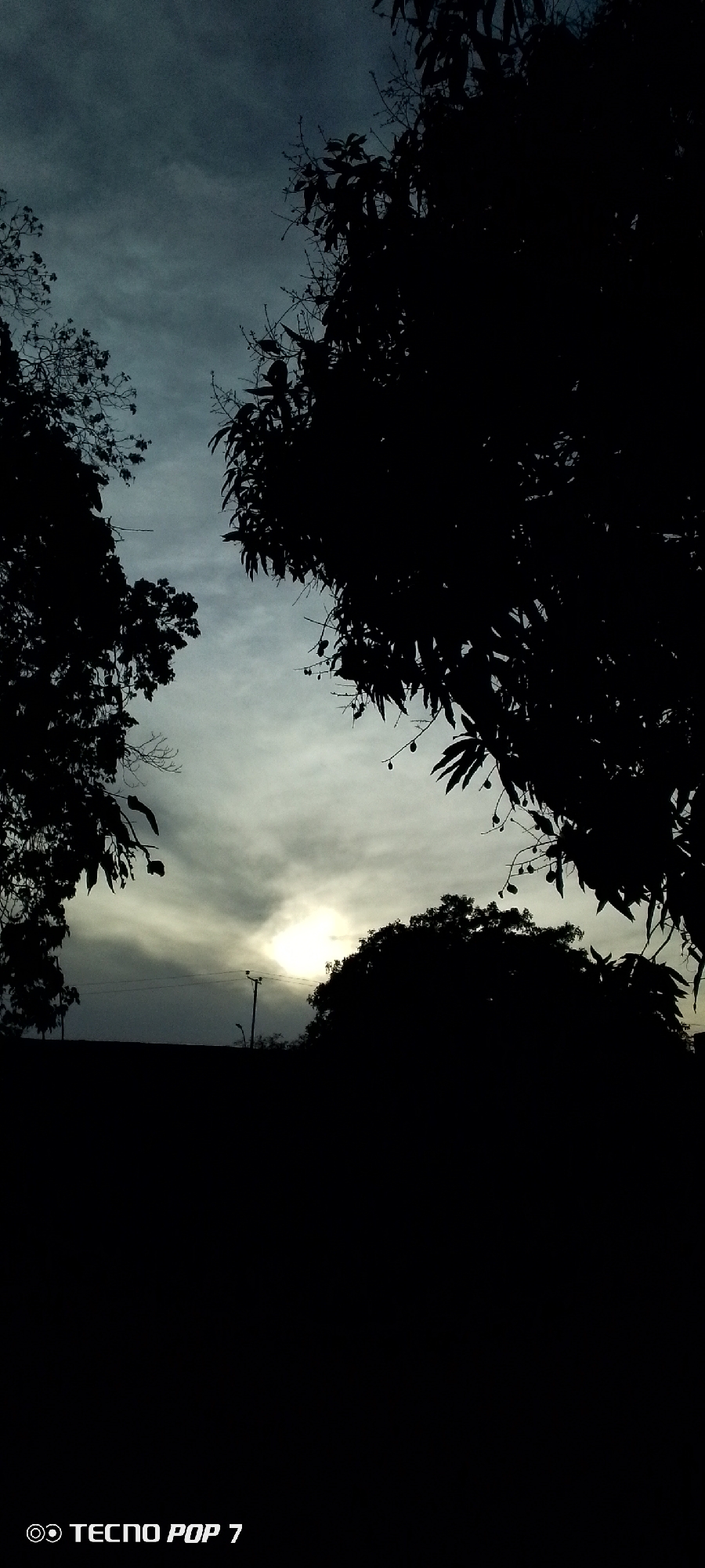 The image shows a landscape taken at dusk or dawn in Altagracia, Venezuela. Silhouetted trees frame a sky with clouds and the sun barely visible through the horizon. There are also utility poles, and what might be a roof, between the trees. The TECNO POP 7 watermark is located in the bottom left corner.