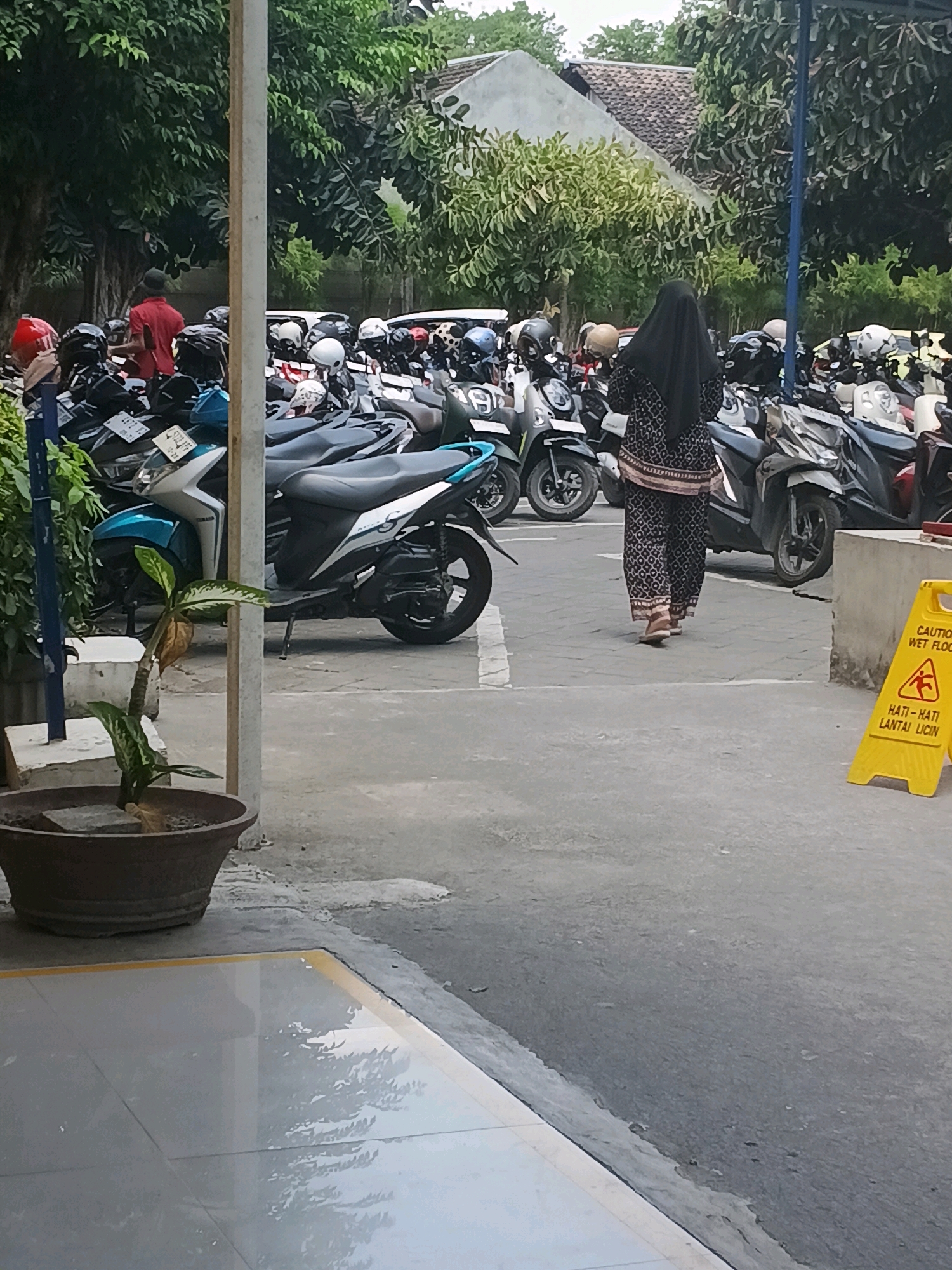 The image depicts a parking lot in Purwodadi, Indonesia, likely near a commercial or public building, evidenced by the rows of parked motorcycles and a caution sign. In the foreground, a large potted plant sits on a paved area, transitioning to a paved road where numerous motorcycles are parked. A woman wearing a black hijab and a patterned dress is walking away from the camera in the mid-ground, towards the parked motorcycles. To her right, a yellow caution sign with a wet floor symbol and text in Indonesian indicates a slippery surface. In the background, more motorcycles are visible, along with trees and buildings. A man in a red shirt is also present in the background, near the motorcycles. The environment appears to be outdoors, possibly in the late afternoon or early morning, given the lighting.