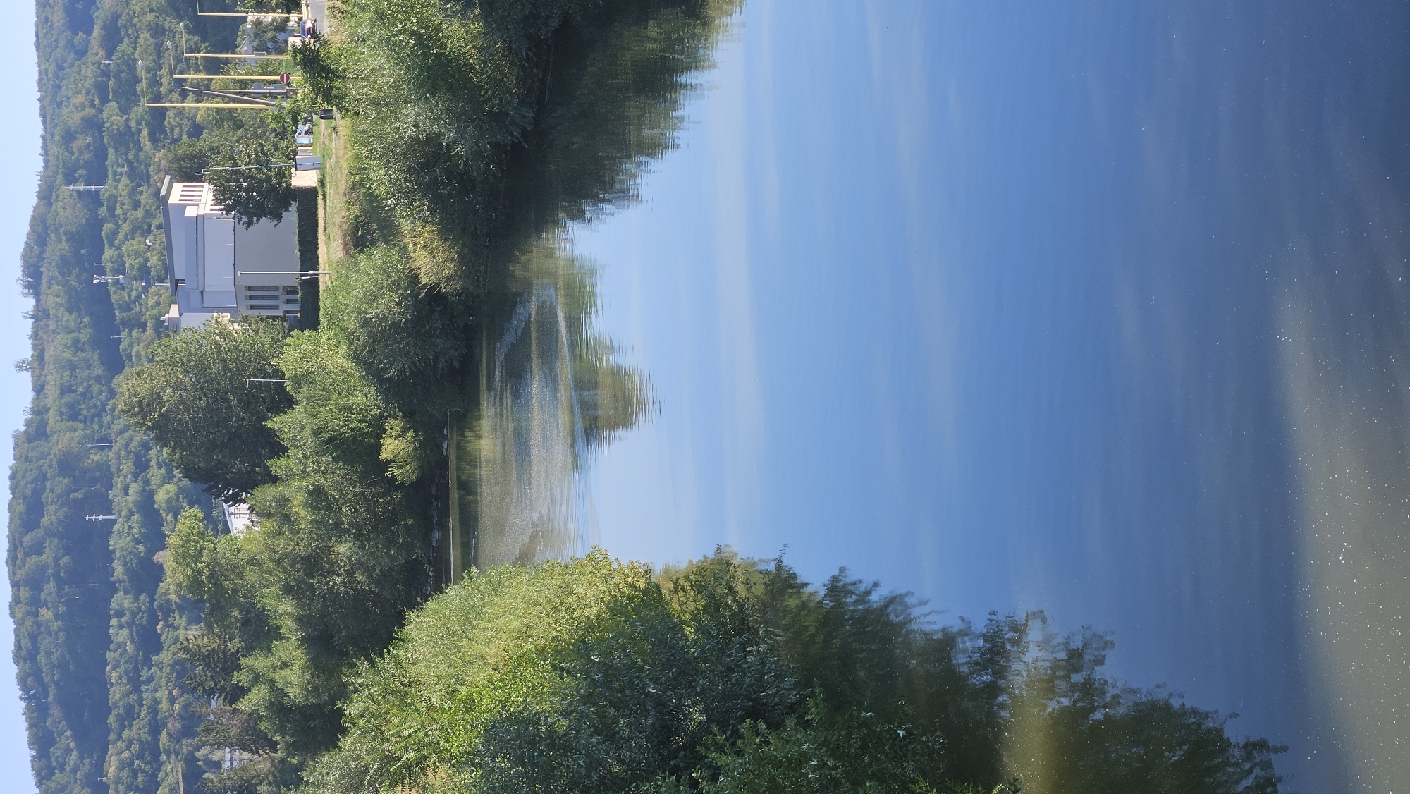 The image shows a body of water, likely a river, flowing through a landscape that includes a densely vegetated hillside in the background and trees lining the banks. On the right bank, a modern building with a light-colored facade and a darker roof is visible, set against a backdrop of trees and power lines. The water's surface reflects the blue sky and the surrounding greenery. The scene suggests an outdoor environment in a town or city, with the presence of urban infrastructure on the right bank contrasting with the natural elements. The location is the Sekčov district of Prešov, Slovakia, and the body of water is the Torysa river.