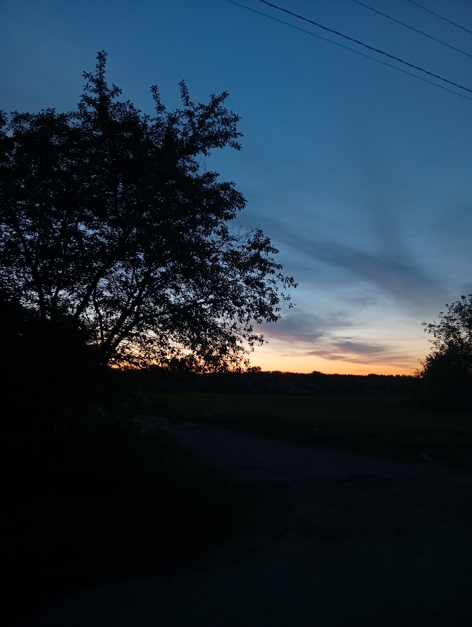 The image shows a landscape at twilight, likely in a rural or semi-rural area. A dark, silhouetted tree occupies the left side of the frame. In the background, a band of orange light suggests a setting sun or a sky illuminated by city lights. The foreground is dominated by a dark pathway, possibly a dirt road. Above the trees, the sky transitions from a light orange to a deep blue. Power lines are faintly visible in the upper portion of the image. The low light conditions make it difficult to discern details, but the scene appears to be tranquil and still. Although not explicit, the location is stated as Fediivka, Ukraine. However, this cannot be verified visually.