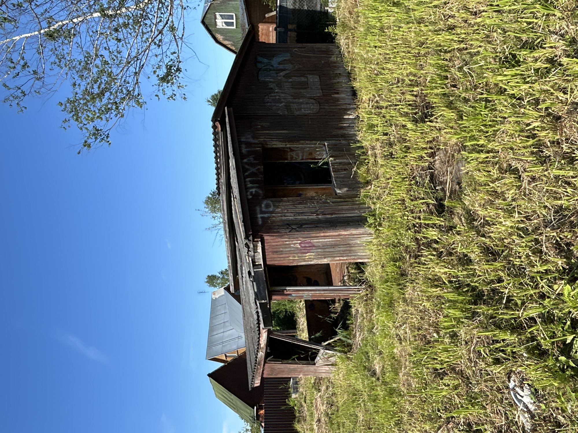 An outdoor, eye-level, medium shot captures an abandoned wooden shed with a corrugated metal roof, situated in an overgrown grassy field under a clear blue sky. The shed is in disrepair, with weathered wooden planks and graffiti spray-painted on its exterior walls. To the left of the shed, another dilapidated structure is visible, and behind it, two houses with prominent roofs can be seen. The overall scene depicts a rural or semi-rural environment, possibly within the city of Слава Снт, Russia, characterized by neglect and overgrowth.