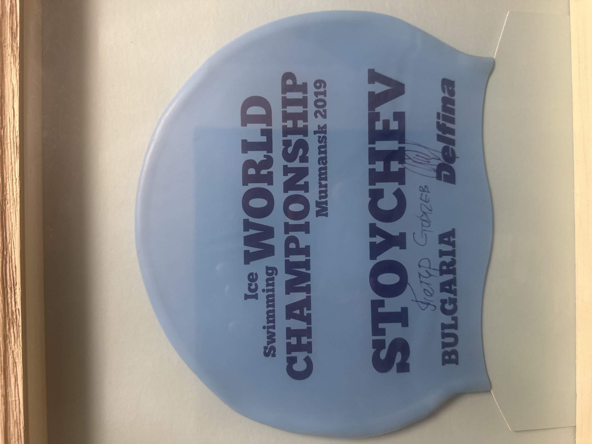 The image shows a light blue swim cap, likely for ice swimming, with dark blue text and a signature. The text reads: "Ice Swimming WORLD CHAMPIONSHIP Murmansk 2019 STOYCHEV BULGARIA Delfina". There is a handwritten signature below "STOYCHEV" and a logo for "Delfina". The swim cap is framed and appears to be a memento. The background is a light gray matte board, and a wooden frame is visible at the top of the image. The image does not contain any explicit information about the city of Varna, Bulgaria, or any specific locations within it.