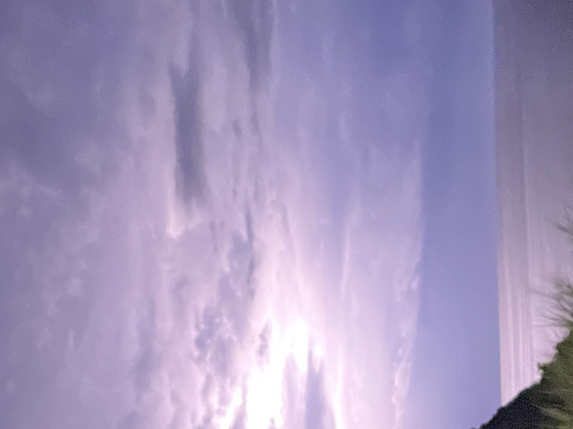 The image shows a serene coastal landscape at dusk, with a focus on the sky and sea. The sky is filled with soft, diffused clouds in shades of pale purple and lavender, with hints of brighter light breaking through on the left. The sea below is calm and reflects the muted colors of the sky, appearing as a flat expanse of pale purple. In the foreground, the dark silhouette of a green, tree-covered hillside juts into the frame from the left, with some wispy, light-colored vegetation in front of it. The overall impression is one of quiet twilight over a peaceful natural setting. The location is identified as Prijevor, Montenegro.