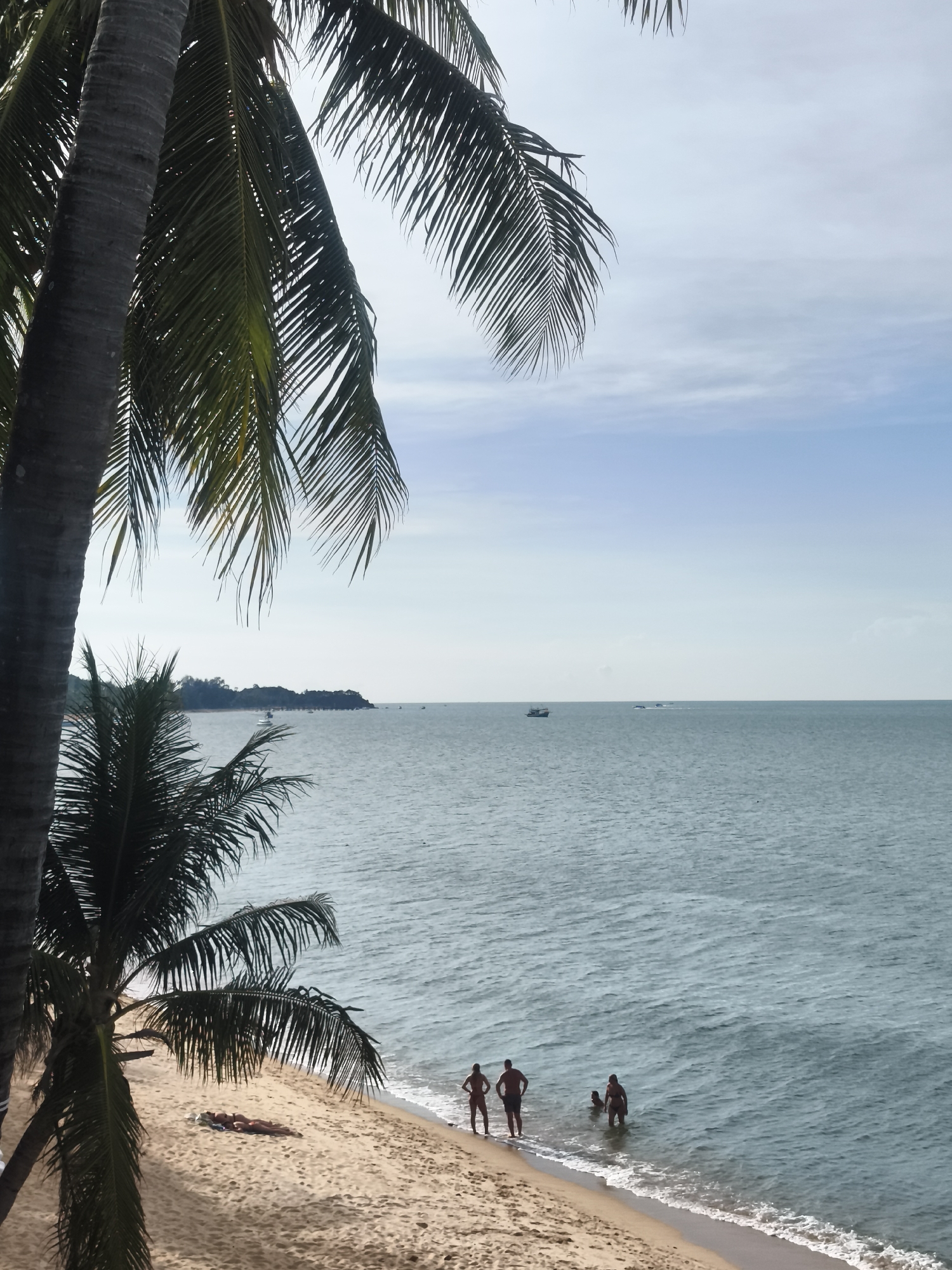 The image depicts a serene tropical beach scene in Baan Mae Nam, Thailand, captured from a slightly elevated vantage point. In the immediate foreground, the thick, textured trunks and vibrant green fronds of two palm trees frame the left side of the composition, extending into the upper and lower left corners.
A strip of golden sandy beach curves gently from the bottom left towards the right, meeting the calm, blue-green waters of the ocean. On the sand, two individuals are visible, lying relaxed on a light-colored towel, appearing to be sunbathing. Further along the shoreline, three people are wading in the shallow water, with small waves breaking at their feet. Two of them appear to be adults, while a third, smaller figure stands between them, possibly a child, enjoying the water.
The expansive ocean stretches out towards the horizon, where several small boats are dotted across the surface. A distant, tree-covered landmass or island is visible on the left side of the horizon line. The sky above is a clear, light blue with scattered, wispy white clouds, suggesting pleasant and bright daytime weather. The scene conveys a sense of peaceful relaxation and a leisurely tropical atmosphere. There is no visible text in the image.