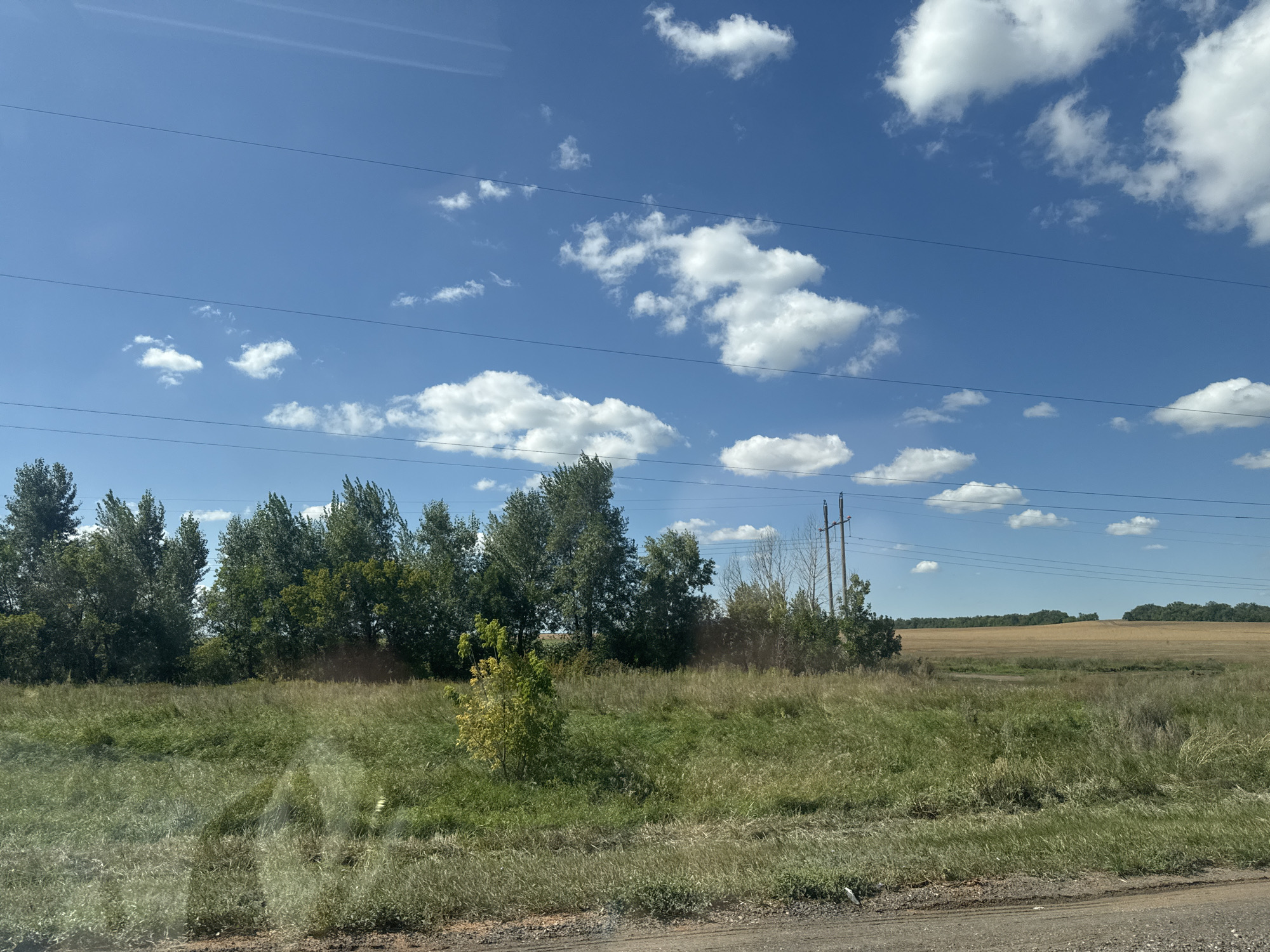 This is a horizontal, medium-shot, eye-level photograph of a rural landscape under a bright, blue sky dotted with fluffy white clouds. The foreground consists of a gravelly dirt road and a patch of tall, dry grass. Behind the grass is a line of dense green trees, some of which appear wind-swept. To the right of the trees, a cluster of utility poles and wires stretches across the frame. In the mid-ground, a large, harvested field of light brown stubble stretches to the horizon. The overall impression is of a clear, sunny day in a countryside setting. The image does not contain any people, animals, or specific landmarks that would allow for a precise location within Burdygino, Russia.