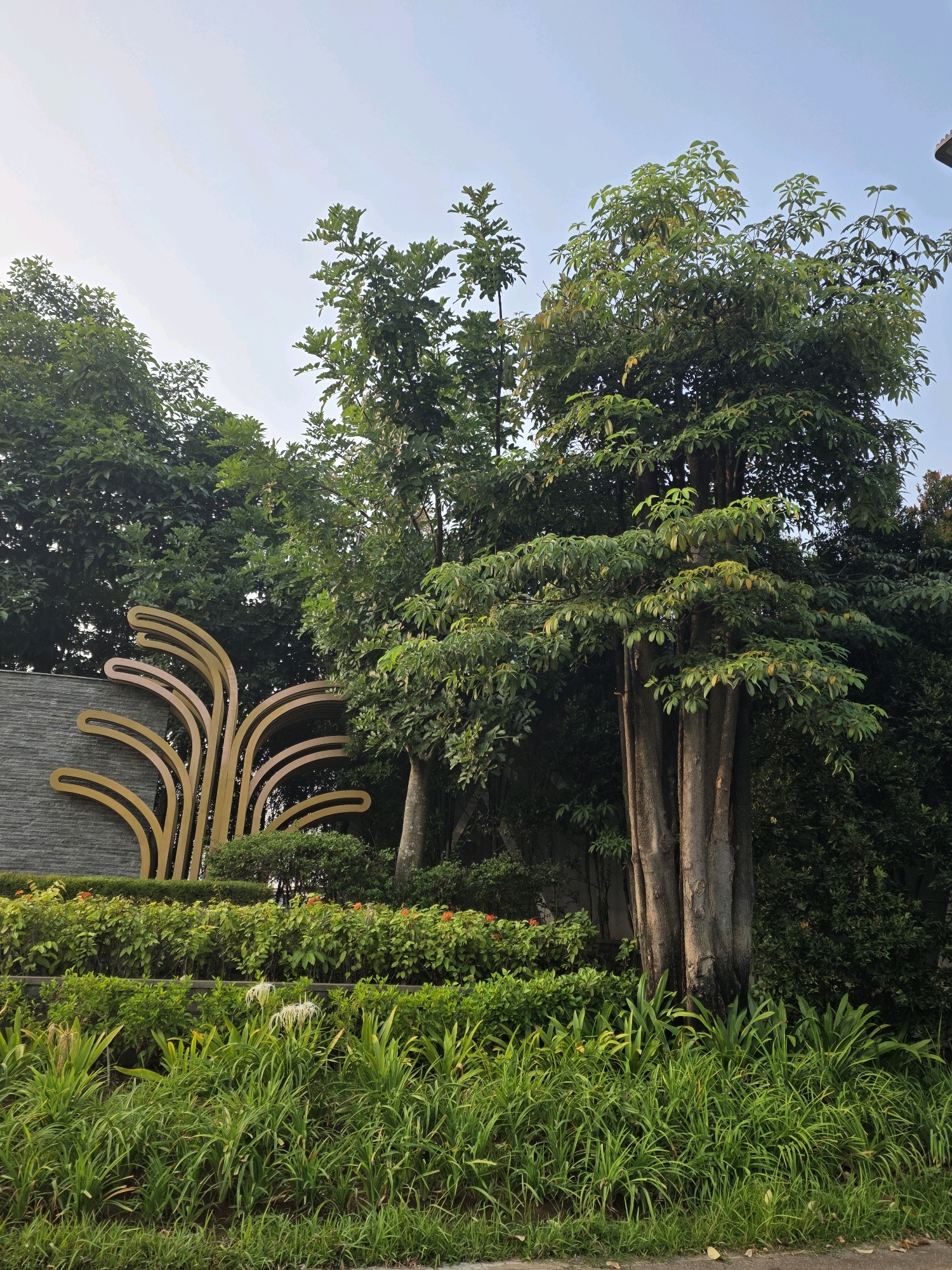 The image depicts a verdant garden area with various trees, shrubs, and ornamental plants, situated in Bojongsoang, Indonesia. In the foreground, lush green grass and tall green foliage dominate, with a paved surface visible at the bottom. Behind this, a neatly trimmed hedge forms a barrier, interspersed with small red flowers. Behind the hedge, a gray textured wall is visible to the left, adorned with a large, stylized golden sculpture resembling abstract plant or flame motifs. To the right of the sculpture, a large tree with multiple thick trunks and abundant green leaves stands prominently. Further in the background, dense foliage of various trees creates a natural backdrop under a pale sky. No people are present in the scene.