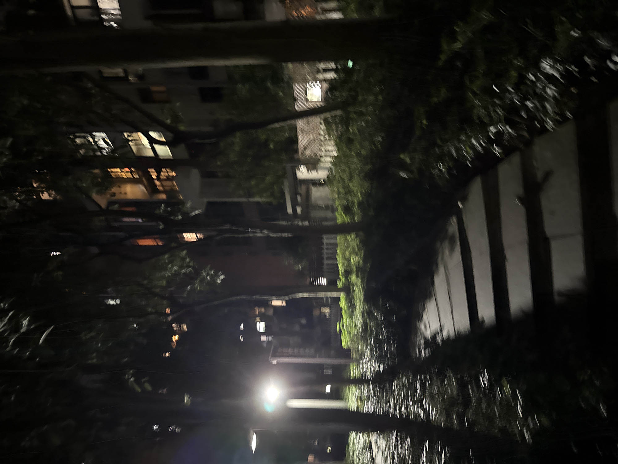 The image depicts an outdoor walkway at night, likely in a residential area in Haizhu District, China. A concrete pathway with distinct, evenly spaced steps leads into the frame from the lower right, disappearing into the darkness. The pathway is bordered by dense, dark green foliage on the right, which is blurred due to motion or low light. On the left side of the pathway, a bright, modern-style lamppost illuminates the immediate surroundings with a cool white light, creating a streaked effect on the ground and vegetation. Beyond the lamppost and to the left, more blurred foliage is visible. In the background, a multi-story building with illuminated windows is partially visible, suggesting it is an apartment complex. The building has a modern architectural style, with balconies and visible window frames. Trees with dark branches and leaves are interspersed throughout the scene, obscuring parts of the building and creating a sense of depth. The overall atmosphere is dark and somewhat indistinct due to the low light conditions and motion blur. No people are visible in the scene.