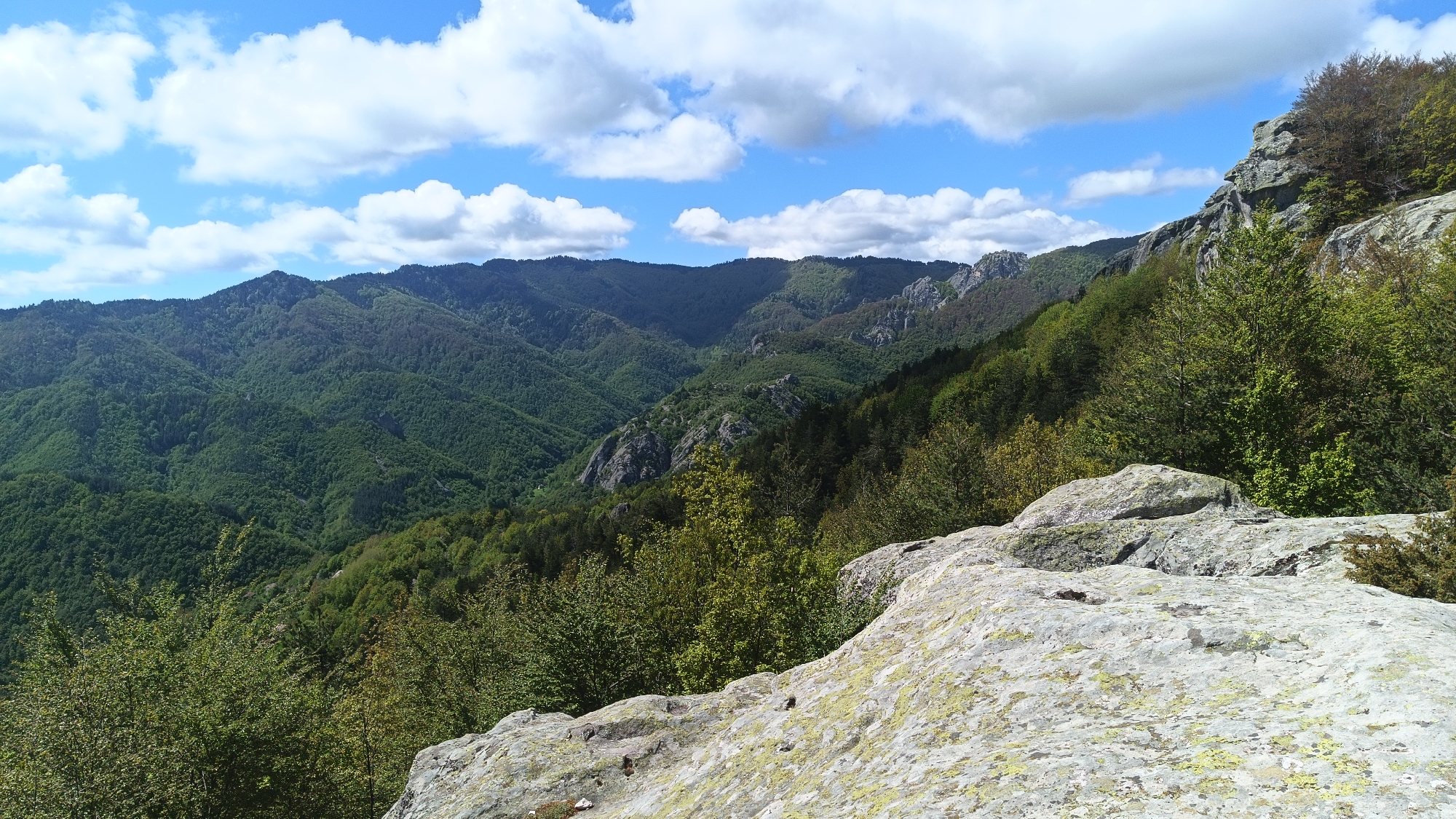 The image depicts a mountainous landscape in Sini Vrah, Bulgaria. The foreground features light-colored, lichen-covered rocks. Lush, green forests cover the slopes of the mountains and ridges in the midground. The sky is blue with scattered white clouds. The mountains are dense with vegetation and have varied topography, including rocky outcrops.