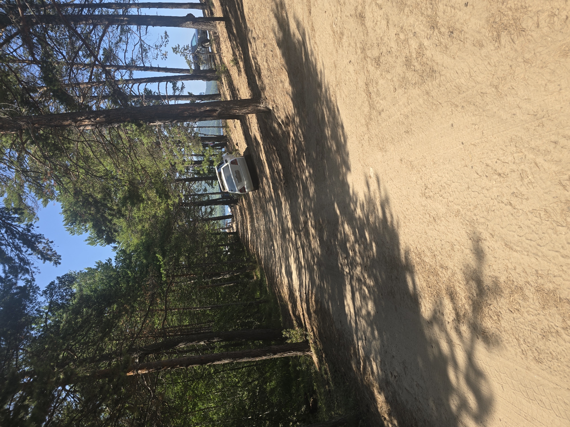 A dirt road lined with tall pine trees leads towards a body of water, likely Lake Baikal, near Maksimikha, Russia. The road surface is sandy and illuminated by sunlight filtering through the dense canopy, casting dappled shadows. Two white cars are parked on the right side of the road, angled upwards on a sandy embankment. In the distance, a dark-colored car is also visible on the embankment, and further down the road, a few people can be seen near the water's edge. The environment appears to be a natural, wooded area, suggesting a recreational or park-like setting. The sky is clear and blue.