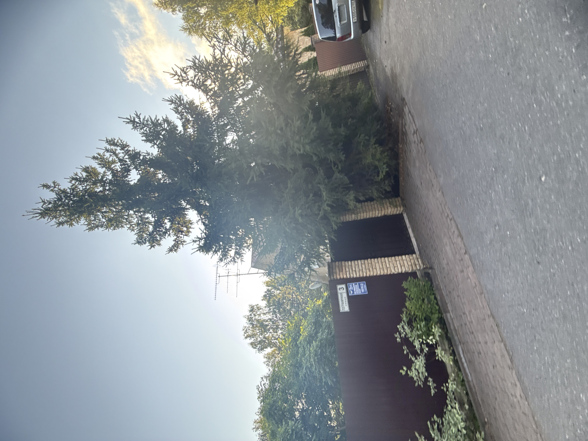 The image captures a street scene in Yukki, Russia, on a clear day. Dominating the frame is a large evergreen tree, likely a spruce, casting a shadow over a paved road and a brown metal fence. The fence is supported by brick pillars and has a gate. A sign on the fence reads "ПОГРАНИЧНАЯ 3" (Pogranichnaya 3), indicating the street name and house number. To the right, a silver minivan is parked on the roadside. Behind the fence, dense green foliage and the roof of a house are visible. An old television antenna is mounted on a pole against the sky. The ground is a mix of asphalt and paved walkway. The lighting suggests it is either early morning or late afternoon.
