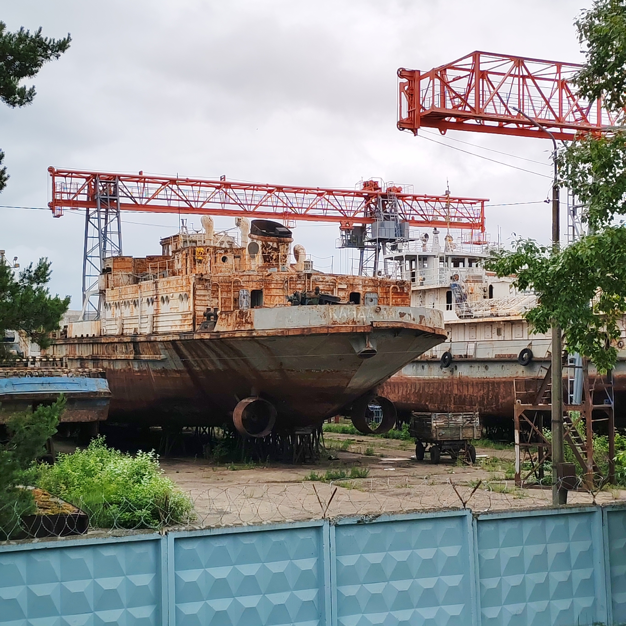 This image captures an industrial scene in Chaikovsky, Russia, depicting a shipyard or dry-dock facility under an overcast, light grey sky. In the foreground, a light blue concrete fence, characterized by a repeated geometric relief pattern, is topped with a strand of barbed wire. Beyond the fence, several large vessels appear dry-docked. The most prominent ship, centrally positioned, exhibits severe rusting across its dark hull and superstructure, with significant rust bleeding over remnants of white paint. The Cyrillic name "КАГАЛЬНИК" (KAGALNIK) is partially visible on its bow. Large, circular openings, likely for propulsion units, are evident at the stern. This vessel is supported by wooden blocks. To its right, another large vessel, predominantly white but heavily stained with rust, is partially visible, also appearing to be on dry land. A smaller, blue-hulled boat is partially seen behind foliage on the far left. Overhead, two substantial red gantry cranes with lattice structures span the scene, supported by blue-grey metal frames. The ground consists of dirt and gravel, interspersed with patches of green weeds and bushes. A small, two-wheeled wooden cart is situated in the midground. No individuals are present.