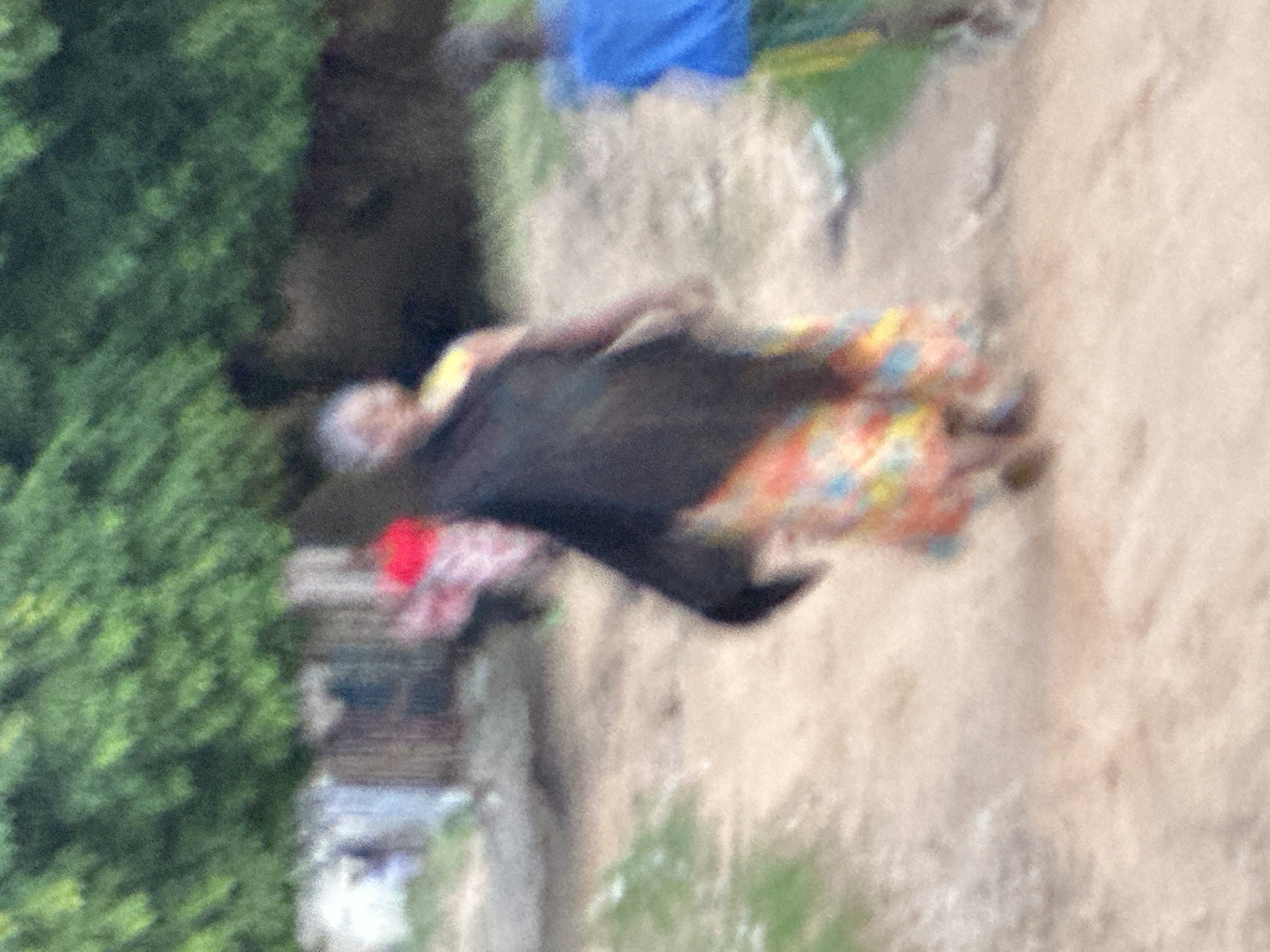 The image shows a blurry outdoor scene, possibly in Narayi, Nigeria. In the foreground, a woman in a brightly colored patterned dress and a black shawl walks on a dirt path. Her face is not clearly visible due to the blur. To her right, a person in a blue shirt and green pants walks away from the camera. In the background, there are trees and some indistinct structures that could be buildings. The overall impression is of a casual, everyday scene in a rural or semi-urban environment.