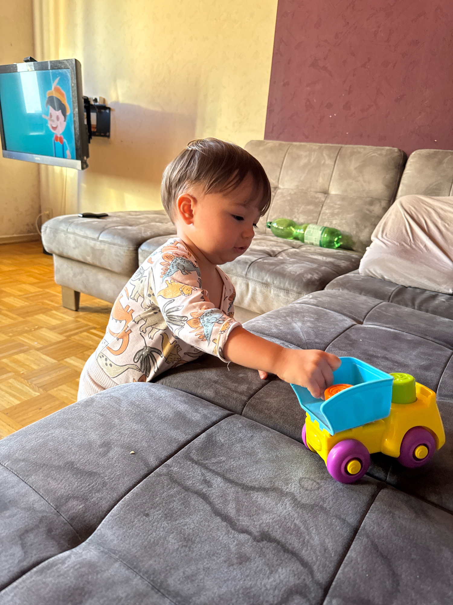 A young child, appearing to be between 1 and 2 years old, stands on a wooden floor next to a dark gray sectional sofa. The child is wearing a light-colored long-sleeved shirt with a dinosaur pattern and is leaning over the sofa. The child is holding a colorful toy truck with a yellow base, purple wheels, a blue bin, and green and orange elements. The child's right hand is inside the blue bin of the truck. In the background, a large television is mounted on a light yellow wall. The TV displays a cartoon image of Pinocchio. Further back on the sofa, there are two green plastic bottles. The sofa is a prominent feature of the room, with cushions and a textured surface. The wall behind the sofa is divided into two sections: one light yellow and the other a deep reddish-purple color. The lighting suggests it is daytime, with natural light entering the room from the left. The image is captured from a slightly elevated angle, looking down at the child and the toy. The scene appears to be an indoor living space within a home in Überherrn, Germany.