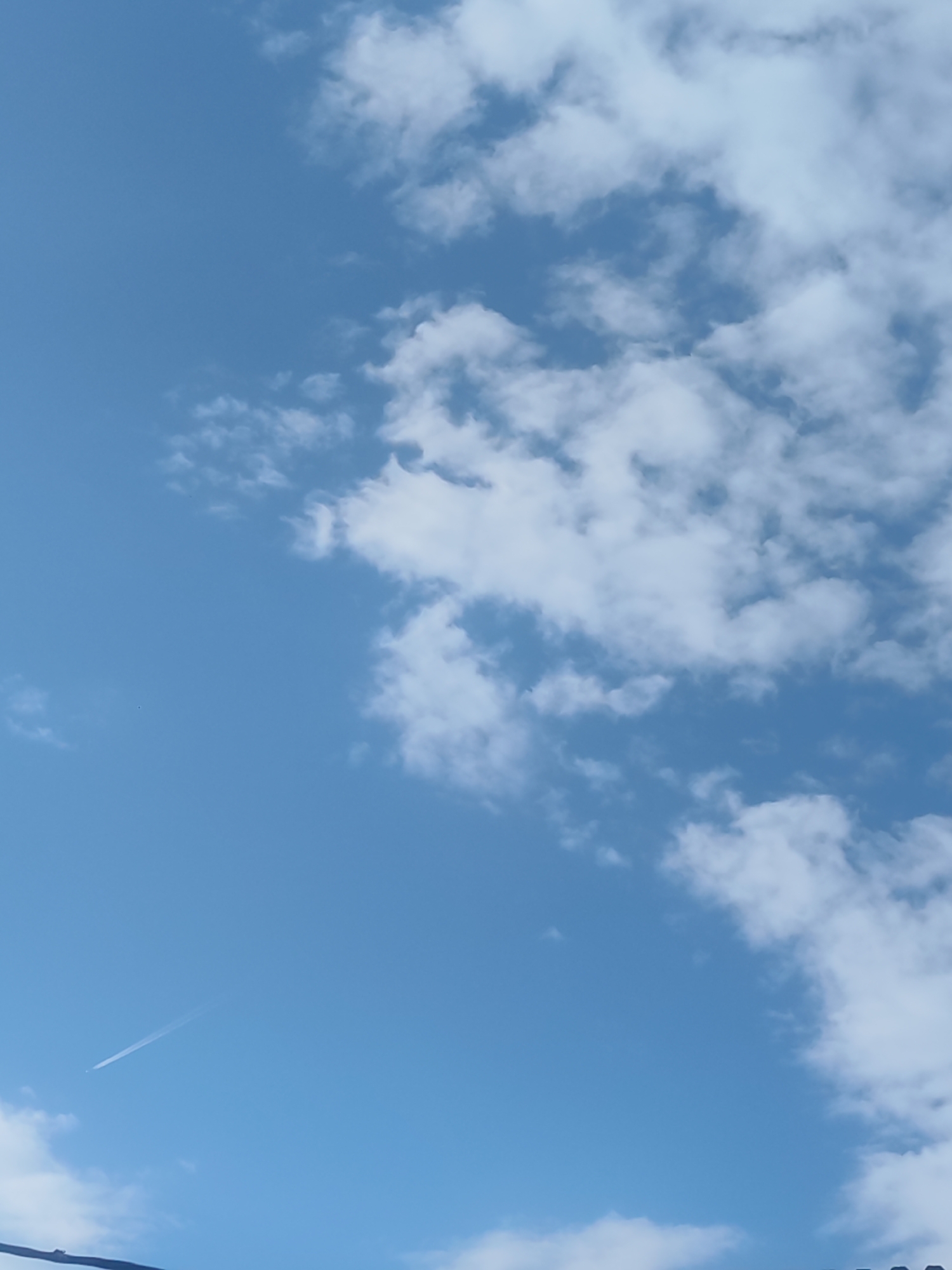 A vibrant blue sky dominates the vertical image, filled with scattered white cumulus clouds. The clouds are concentrated along the right side and bottom, forming an irregular diagonal pattern across the frame, while the upper-left area of the sky is mostly clear.
In the lower-left portion of the image, a long, thin white contrail stretches diagonally upwards, originating from a minuscule white speck, which is an aircraft. The contrail gradually fades as it extends across the blue expanse.
At the very bottom edge, a blurred, dark horizontal line or object is partially visible, but its exact nature is indistinct.
The scene depicts a daytime setting with fair weather, characterized by bright sunlight and fluffy clouds. There are no specific visual cues within the image itself to identify the location as Chaikovsky, Russia. No visible text is present in the image.