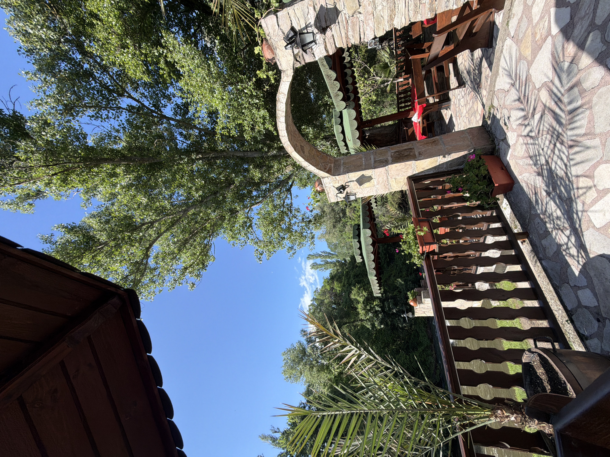The image captures an unoccupied outdoor restaurant or seating area in the city of Zlati Voyvoda, Bulgaria, under a clear blue sky with minimal white clouds. The scene is dominated by lush green deciduous trees in the background and upper frame. In the foreground on the left, a potted palm tree with spiky fronds is visible, alongside a dark brown wooden railing. A dark wooden roof overhang is present at the upper left. A rustic stone archway, constructed from irregularly shaped light-colored stones, stands prominently on the right, featuring wall-mounted lanterns and terracotta pots with plants. Beyond the archway, several outdoor dining tables with red tablecloths and wooden benches are visible, shaded by green, scalloped awnings. The ground is paved with irregular stone slabs, displaying distinct shadows from the railings and palm fronds. A body of water, appearing as a flowing river or stream, is visible through the wooden railing on the left. No individuals are present in the scene.