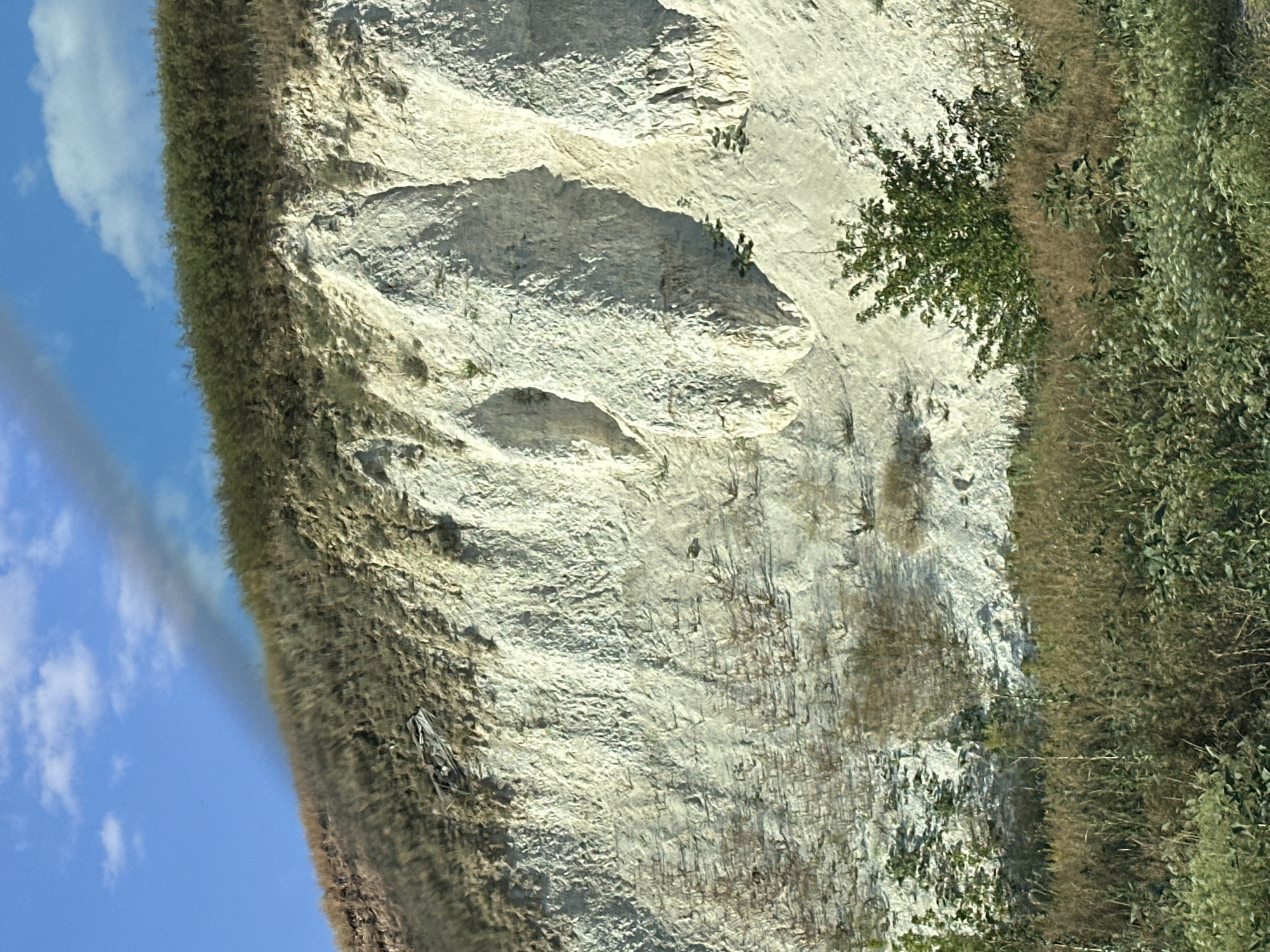 This is a photograph of a chalk cliff face in Vorobyevka, Russia. The cliff is predominantly white and appears to be made of a soft, porous material, with visible stratification. There are several indentations and formations on the cliff face, suggesting erosion.
The top of the cliff is covered with dense green vegetation, appearing as a thick line of bushes or trees. Below this vegetation, the cliff face is sparsely covered with dry grass and some small, scattered plants.
In the foreground, there is a dense growth of various plants, including tall grasses in shades of brown and green, as well as some leafy green plants. A few small trees are also visible in the foreground, adding to the natural landscape.
The sky above is a clear blue, with a few scattered white clouds. A dark, wispy streak, possibly smoke or a cloud formation, is visible across the upper portion of the image, extending from the top left towards the right. The lighting suggests it is daytime, likely with the sun illuminating the cliff face from the side, casting shadows that highlight its texture and features. There are no people or animals visible in the image.