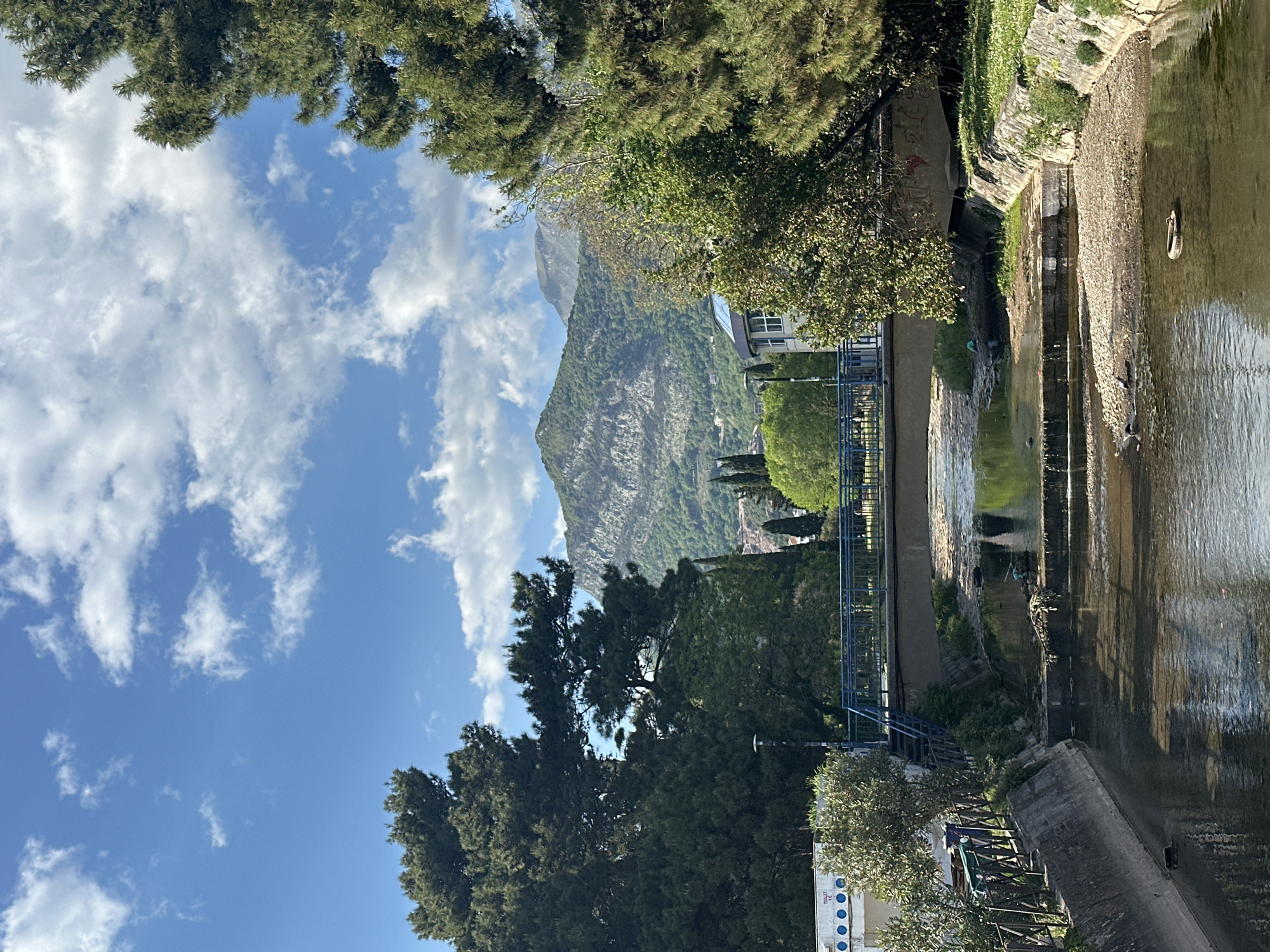 The image captures a picturesque scene in Budva, Montenegro, featuring a river or canal in the foreground with a majestic, tree-covered mountain rising in the background under a bright, cloudy sky.
In the midground, a body of water flows from left to right. Its banks are constructed from concrete and natural stone, with some patches of green vegetation growing along them. A blue metal fence or railing runs along the left bank of the waterway, suggesting a path or promenade. The water itself shows reflections of the sky and surrounding trees. Notably, a white object resembling a tire is floating in the water on the right, and other debris is visible near the banks.
The background is dominated by a large, rocky mountain, extensively covered with green foliage, particularly dense at its base and becoming sparser towards the peak. Distant buildings are partially visible nestled among the trees on the lower slopes of the mountain. Overhead, a clear blue sky is dotted with fluffy white cumulus clouds, indicating good weather.
Several large, leafy trees, some resembling pines, frame the scene from the top and bottom edges, their branches extending into the sky and partially obscuring the view of the mountain and distant structures. In the bottom left corner, a small, white, rectangular structure is visible, featuring blue circular signs and partially legible text that includes "TOALET," indicating a public restroom. The scene suggests a daytime setting, likely late morning or early afternoon, with ample sunlight.