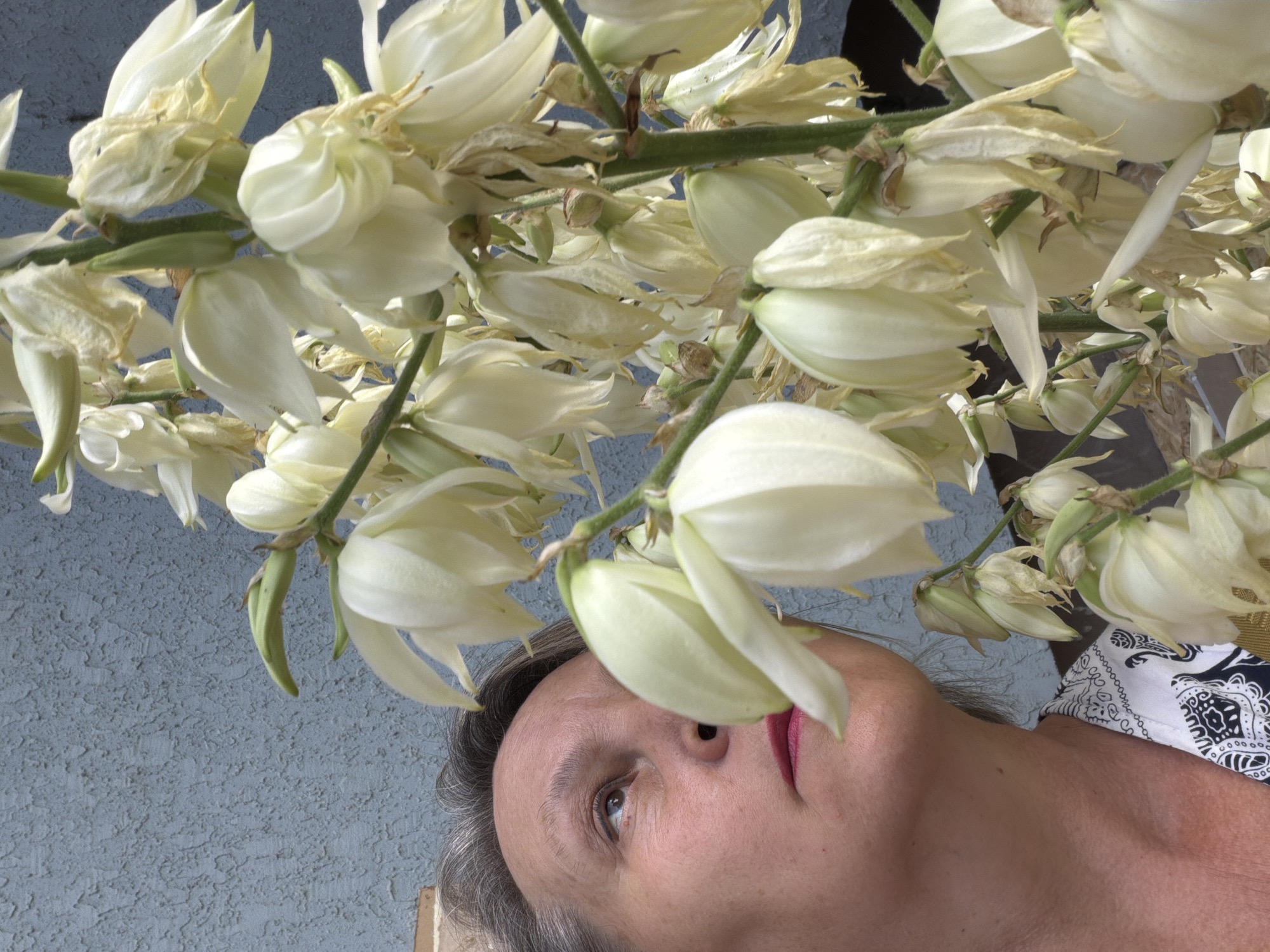 A woman with graying hair and pink lipstick is seen from the chest up, looking to the left and up at a stalk of white yucca flowers. The background is a textured light blue wall. The woman is wearing a black and white patterned shirt. The focus is on her face and the flowers.