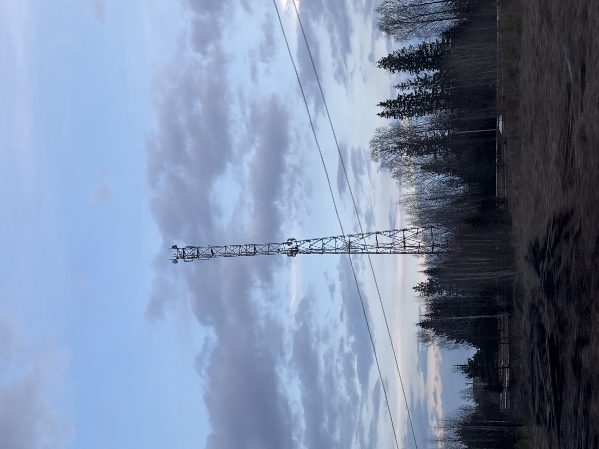 The image shows a tall metal tower, likely a communication or transmission tower, against a cloudy sky. Power lines run across the sky. A line of trees is visible in the background. The foreground appears to be a field or uncultivated land. Based on the location provided, this scene is in or near Гаревая, Russia.