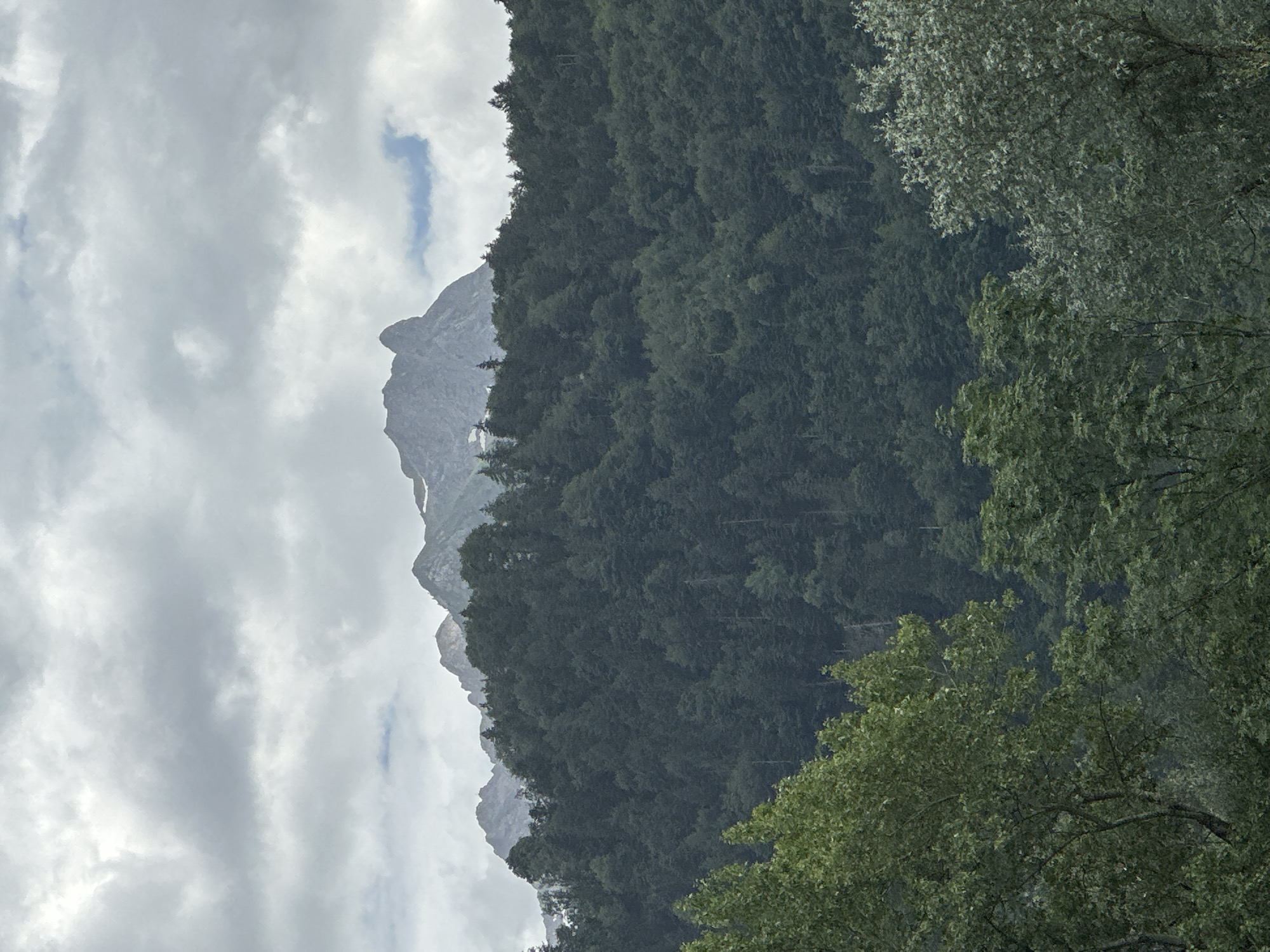 The image shows a mountain range partially obscured by clouds. The foreground consists of dense green trees, with a lighter green tree visible on the far left. The middle ground is dominated by a dark green forest that covers the slopes of the mountains. The background features the rugged, grey peaks of the mountains, with patches of snow near the summit. The sky is overcast with heavy grey clouds, though there are hints of blue sky peeking through in a few places. The overall scene depicts a natural, mountainous landscape. The location is identified as Nüziders, Austria, suggesting this is a view of the Montafon valley or surrounding Alps. There are no people or specific objects present to indicate any human activity or modification of the natural environment. The lighting suggests a cloudy day, possibly late afternoon or early morning.