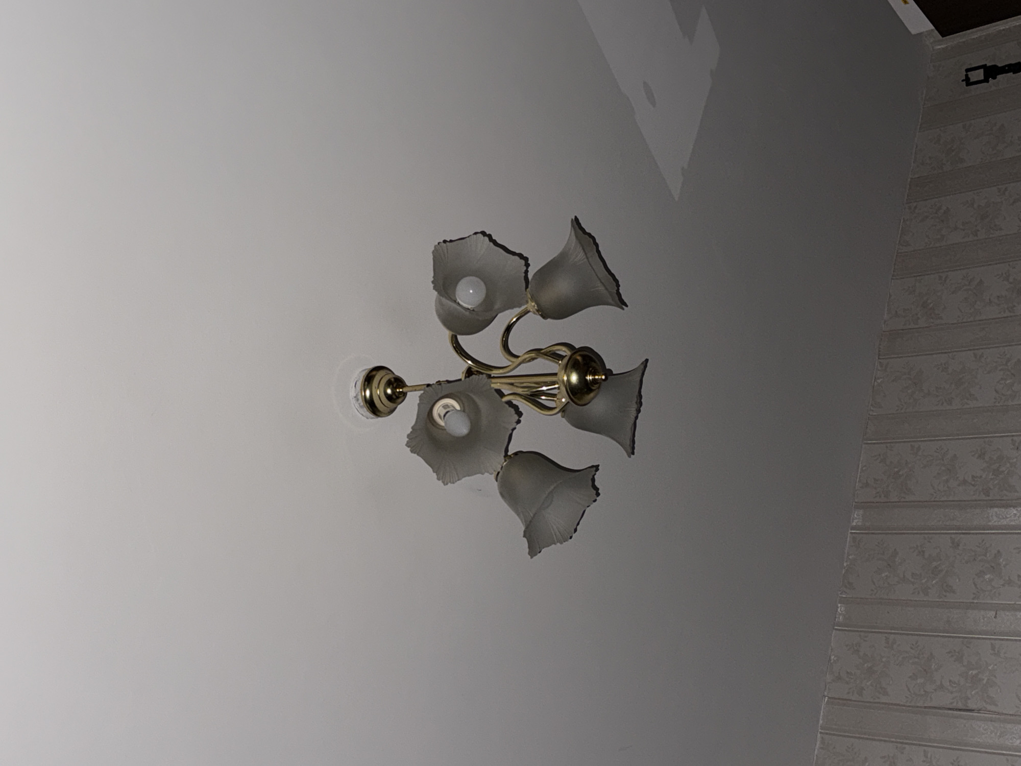 The image depicts a five-bulb chandelier mounted on a white ceiling. The chandelier has a gold-colored fixture and frosted glass shades in a floral or bell shape. The wall next to the ceiling is covered in floral-patterned wallpaper. No people are visible. There is no verifiable information in the image to confirm the location in Khimki, Russia.
