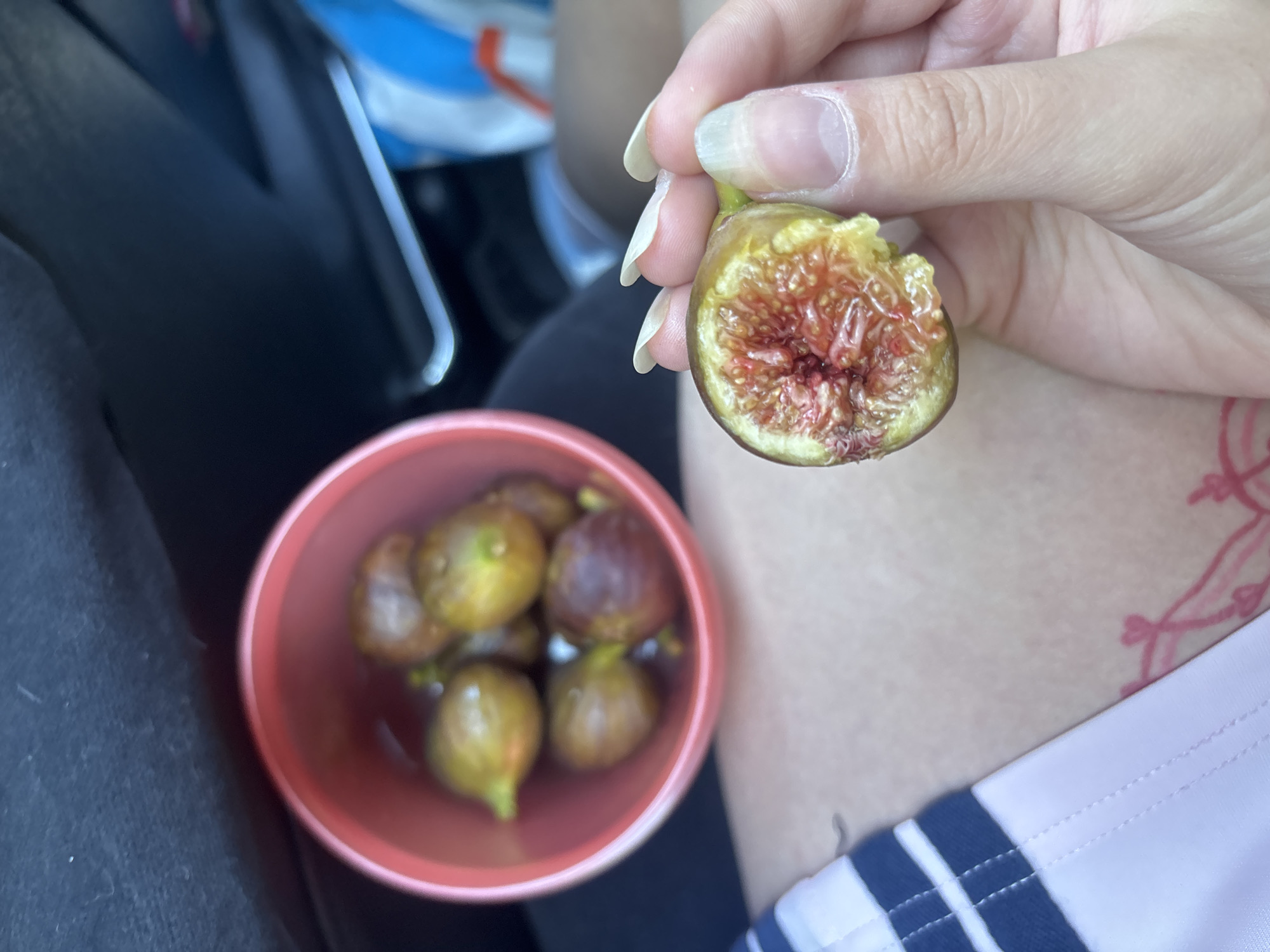 A person's hand holds a halved fig with its interior pulp visible. The fig is moist and appears to have tiny seeds. The hand has long, light-colored fingernails. In the background, a pink bowl contains several whole figs. The setting appears to be indoors, possibly in a vehicle given the dark material and car interior visible. The person is wearing clothing with white and dark blue stripes on the lower body. A faint pink tattoo is visible on the skin. There is no information about the location in the city of Ignatitsa, Bulgaria.