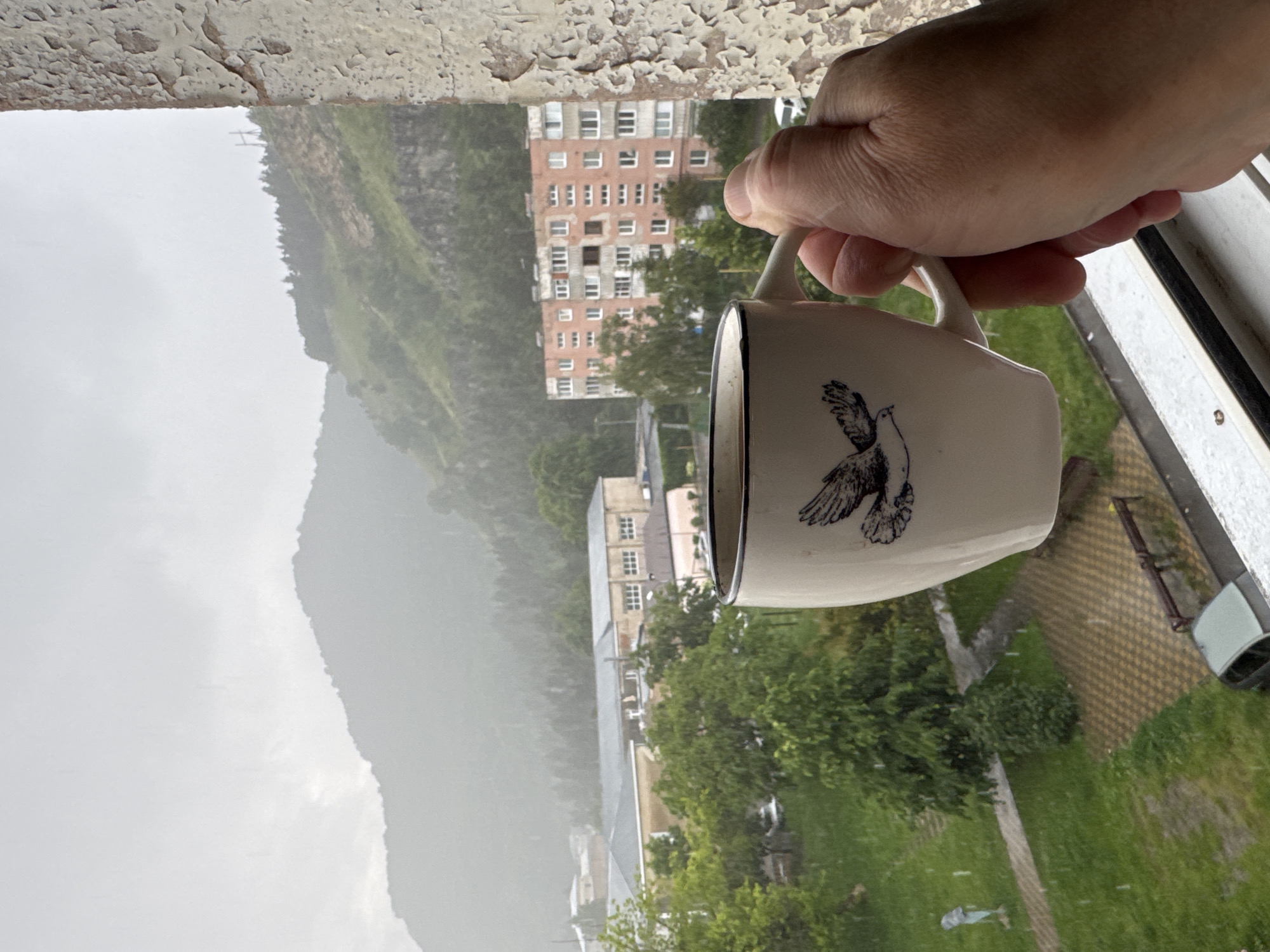 A hand holds a white mug with a bird illustration on it, in front of a window overlooking a city scene in Karachayevsk, Russia. It is raining, with visible raindrops falling on the ground and in the air. In the background, there are buildings, trees, and a mountain shrouded in mist. A light-colored building with multiple windows is prominent in the mid-ground, and a smaller building with a grey roof is to its left. The foreground features a window sill and part of a building exterior with peeling paint. A car is visible in the lower part of the image.