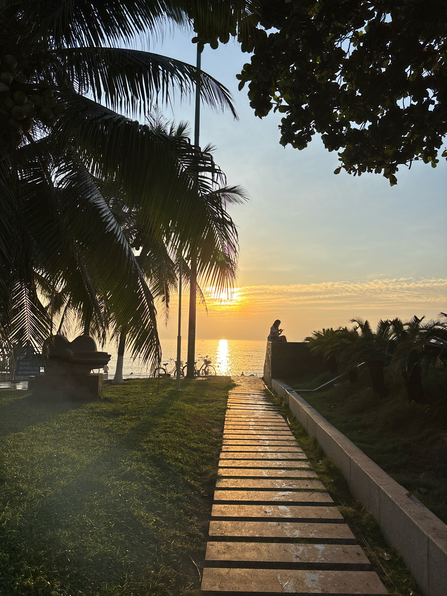 The image captures a serene sunrise scene along the coast of Nha Trang, Vietnam. A pathway made of rectangular stone slabs runs from the foreground into the distance, bordered by lush green grass on the left and a concrete planter with vegetation on the right. The golden light of the rising sun reflects brilliantly on the calm ocean, creating a shimmering path across the water.
On the left, silhouetted against the bright sun, are several palm trees with their fronds casting long shadows on the grass. Near the palm trees, a small, abstract sculpture stands on a pedestal. Further along the coast, two bicycles are parked near the water's edge.
On the right side of the image, a woman is seated on a low stone wall, facing the ocean and the sunrise, appearing to be engaged with her phone. Beyond her, more palm trees and dense foliage are visible, with the sky above a gradient of pale blue and soft orange hues, dotted with wispy clouds. The overall atmosphere is tranquil and peaceful, typical of an early morning at a Vietnamese coastal city.
