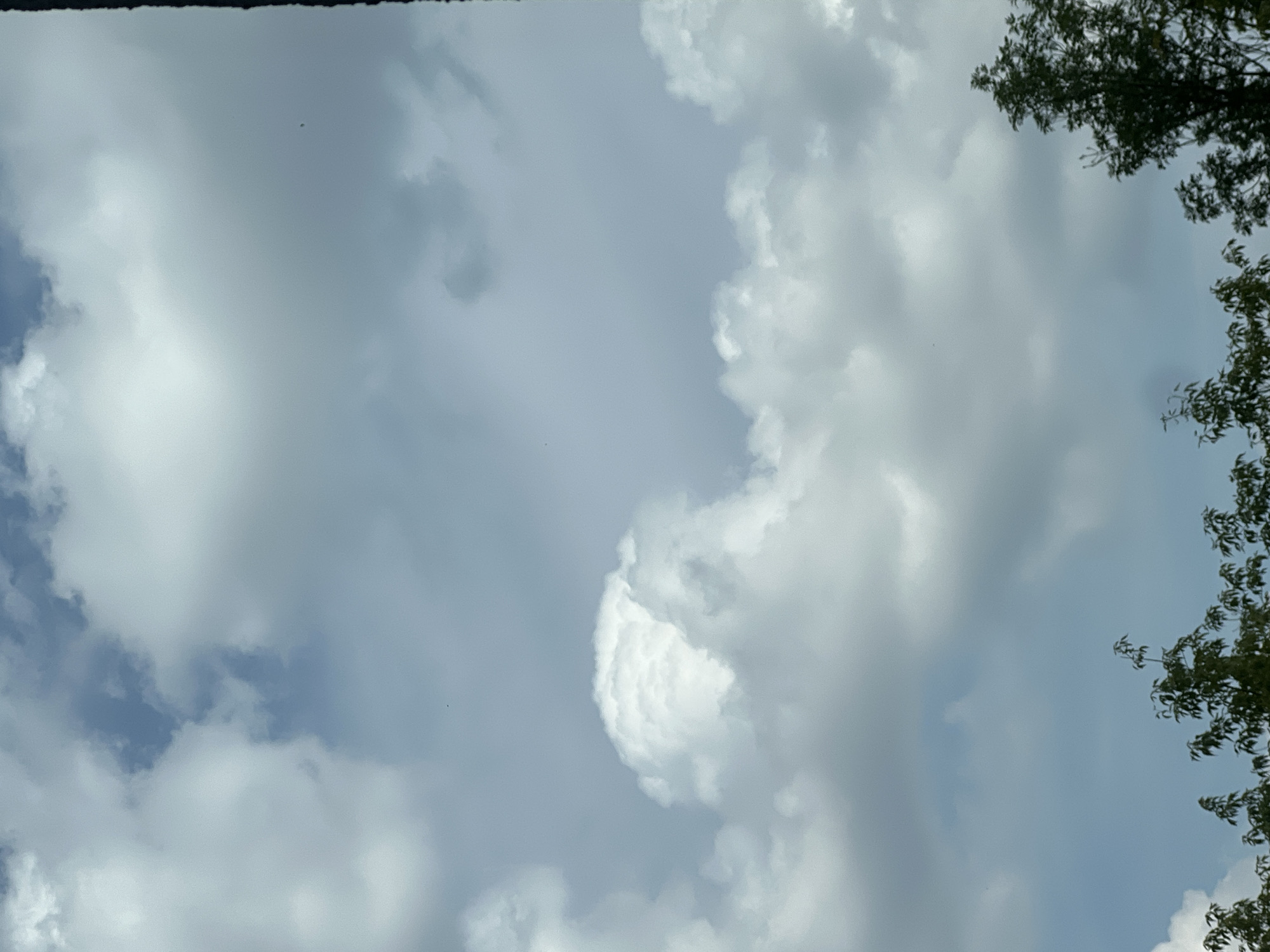 The image shows a view of a cloudy sky with trees at the bottom. The clouds are white and puffy, with some areas of darker gray indicating thicker cloud cover. The sky is a light blue. The trees are green and leafy, suggesting it is a warm season. There are no people or specific landmarks visible in the image. The scene appears to be an outdoor natural setting. There is no information available to indicate the location in the city of Warsaw, Poland.