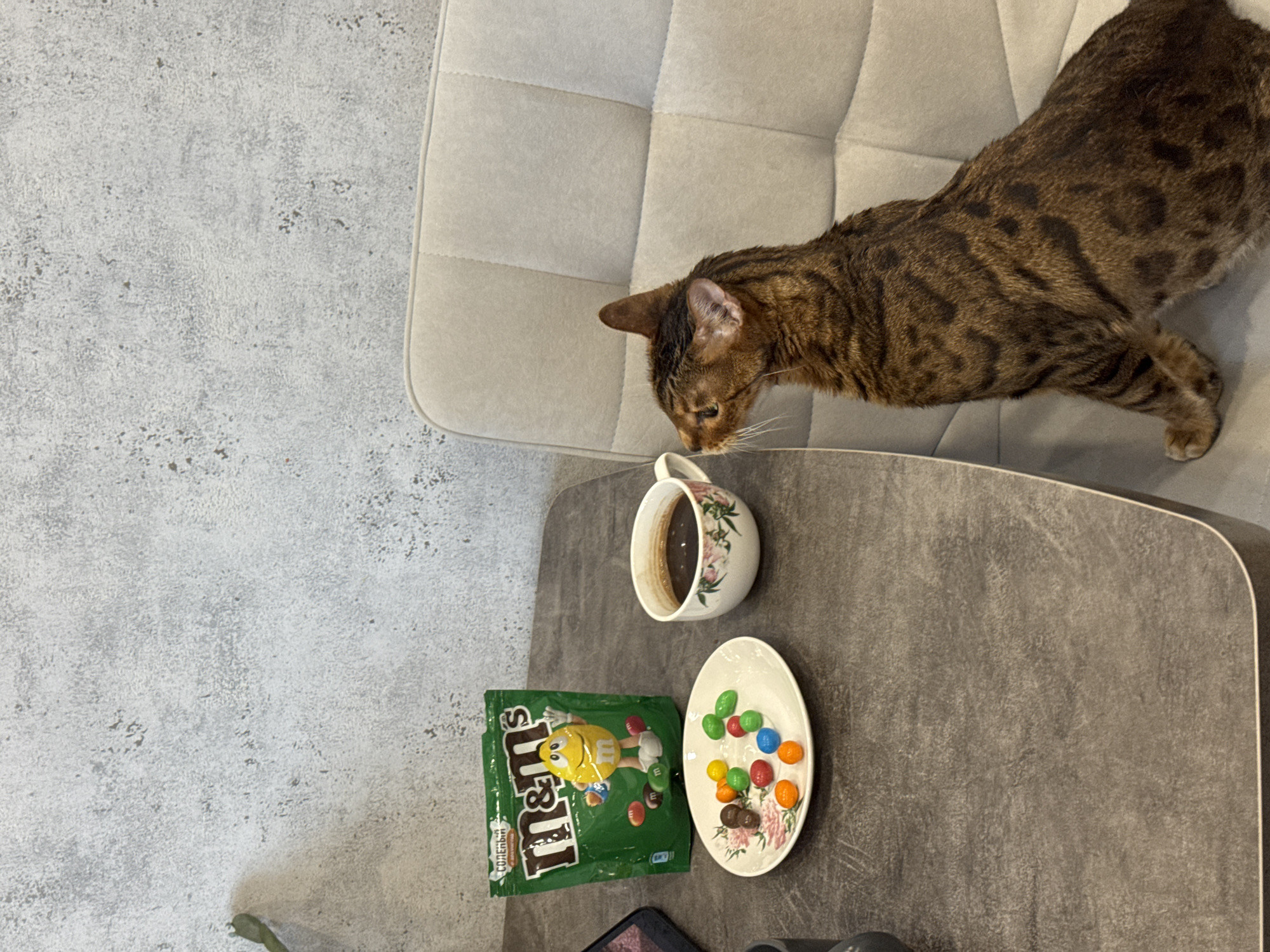 A high-angle shot shows a brown spotted cat on a light grey chair, its head close to a coffee cup on a dark grey table. Next to the cup is a small plate with colorful M&Ms and a green bag of M&Ms.