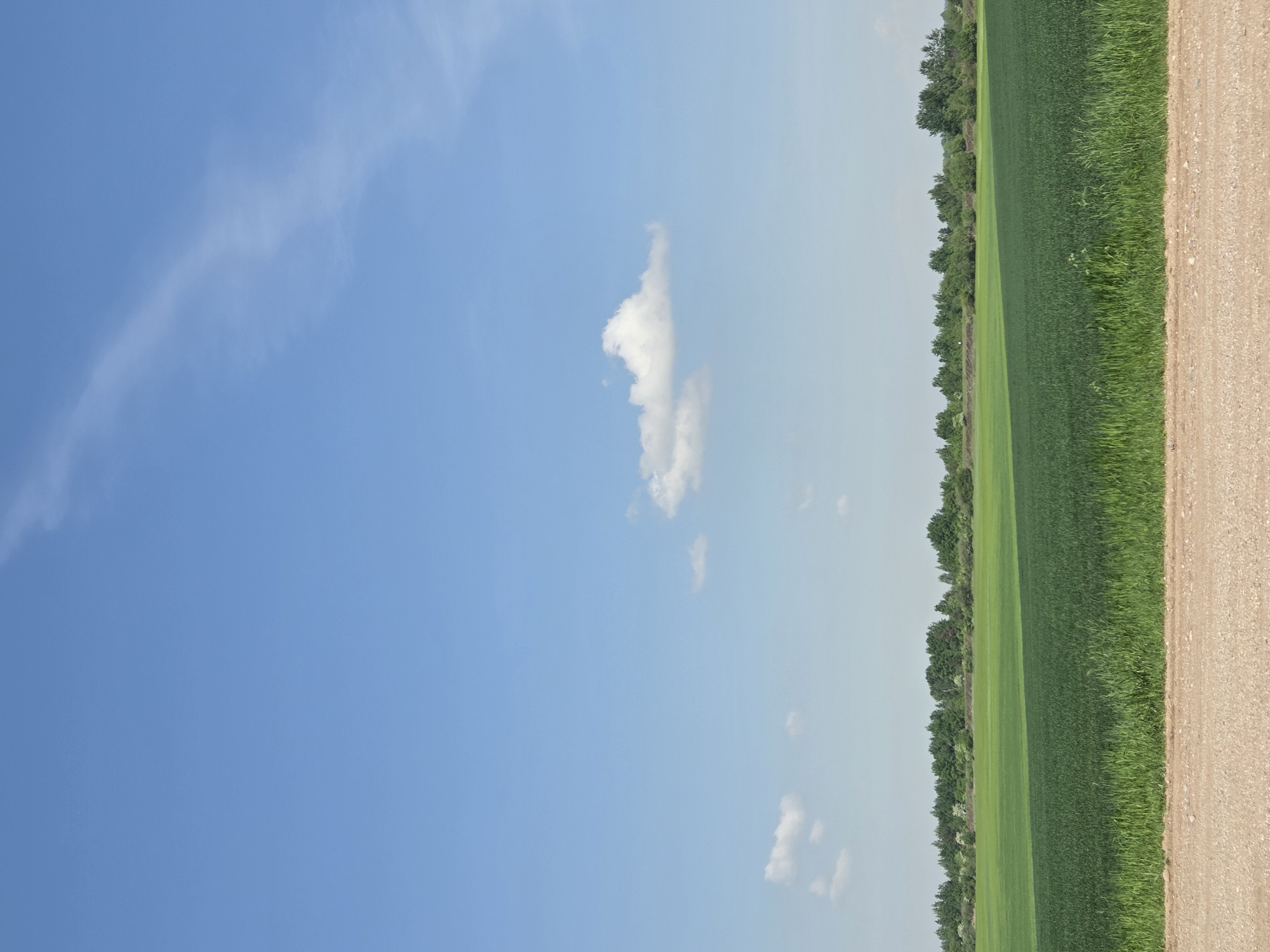 The image shows a rural landscape under a bright blue sky with scattered clouds. A green field, likely crops, extends to the right edge of the frame, bordered by a line of trees. Adjacent to the field is a tan dirt road. The location is in the city of Unknown, Unknown.