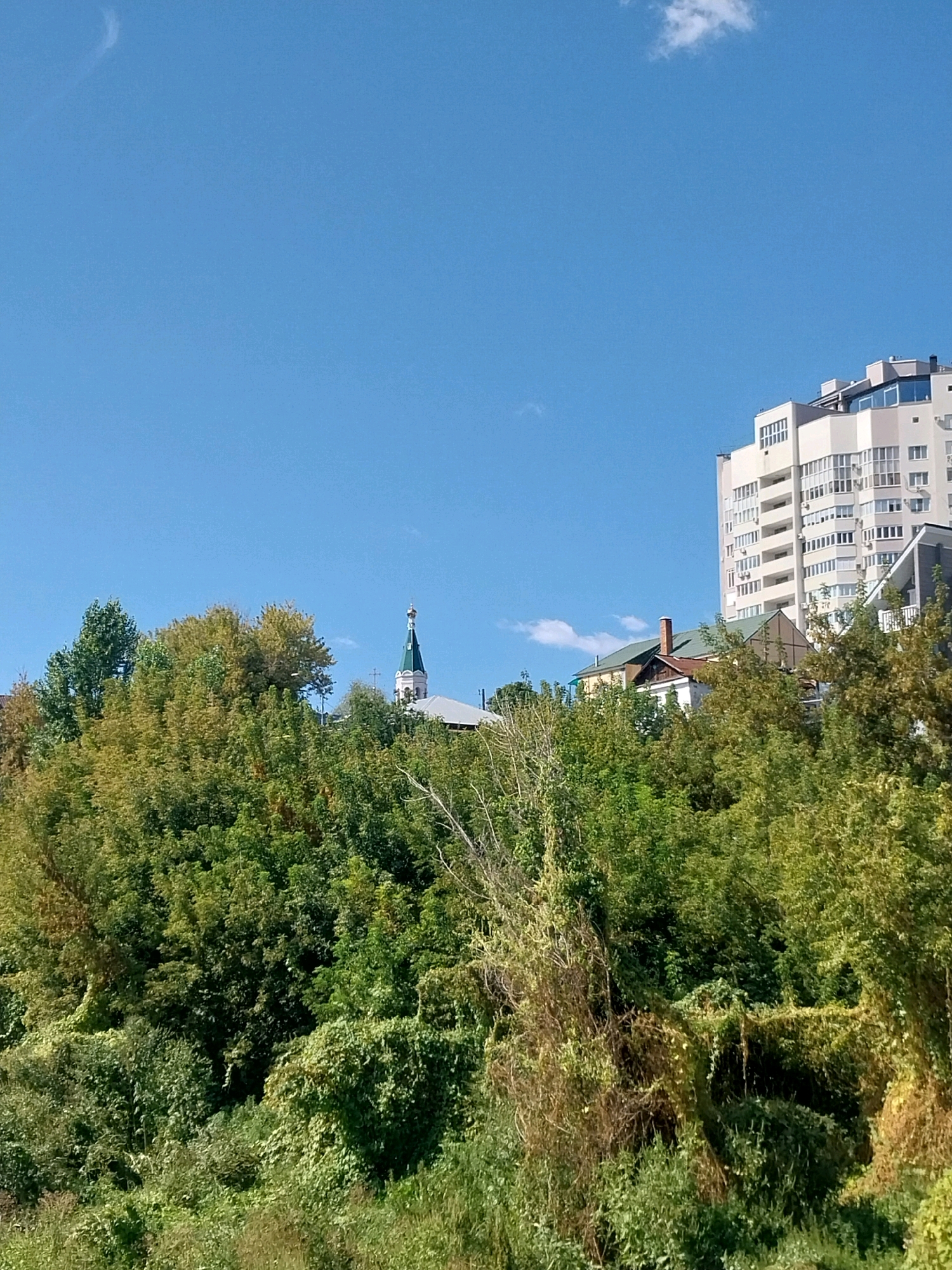 The image captures a cityscape of Orenburg, Russia, dominated by lush green foliage in the foreground and middle ground. The trees appear dense and overgrown, with some showing signs of autumnal color change. Peeking through the greenery are several structures. On the left side, a portion of a building with a green roof and a tall, slender spire topped with a golden dome and cross, indicative of a church or cathedral, is visible. Further to the right, a modern, multi-story apartment building with a light-colored facade and numerous windows stands prominently. Between the church and the apartment building, other residential structures with pitched roofs can be observed. The sky above is a clear, bright blue with a few wispy white clouds. The scene suggests a summer or early autumn day in a relatively urban area with significant natural overgrowth.