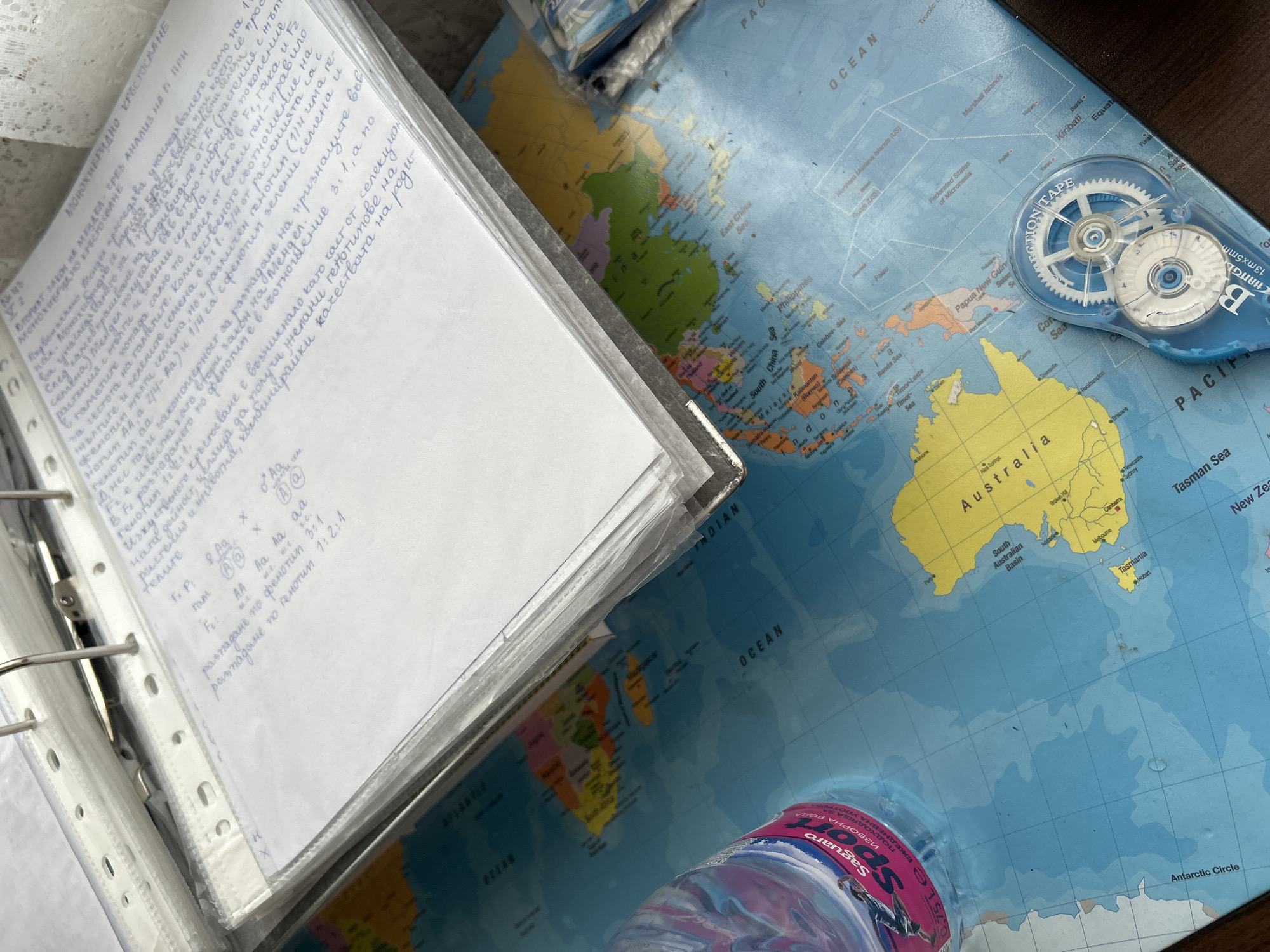 The image is a close-up, slightly high-angle shot of a cluttered study or workspace. The primary subject is a transparent binder with pages of handwritten notes in Bulgarian, likely related to genetics, given the terms like "monohybrid cross" and genetic notation (Aa, AA, etc.). The notebook is slightly open.
Underneath the notebook, and filling the background, is a world map, depicting continents and oceans. Prominent is Australia, with city names like "Sydney" and "Melbourne" visible. The Pacific Ocean is in full view.
Overlapping the map is a clear plastic water bottle, labeled "Saguaro Sport," partially obscuring the South Atlantic Ocean on the map.
A blue and white correction tape dispenser rests on the right side of the map, near Papua New Guinea and Australia.
The notebook and map appear to be placed on a flat surface. The image suggests a person studying genetics with the aid of a world map for context or perhaps for related geographical data.
There is no indication as to whether the image was taken in Shumen, Bulgaria. It is not possible to determine a specific location in Shumen based on the provided image.