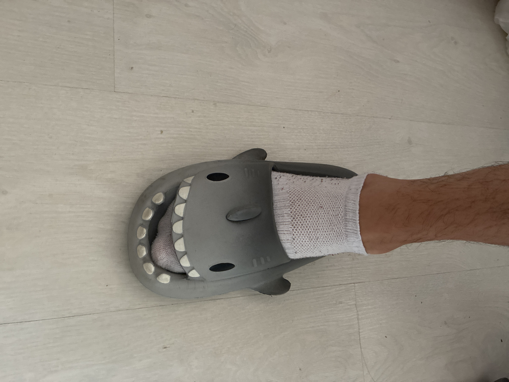 An overhead close-up shot captures a person's foot and lower leg, encased in a white sock and a distinctive shark-shaped slipper, resting on a light-colored wooden or laminate floor. The slipper, a prominent object in the frame, is grey and designed to resemble a cartoon shark's head, complete with white, rounded teeth lining its open mouth, black oval eyes, and a small fin-like feature on its top surface.
The person's foot is comfortably nestled inside the slipper, covered by a white sock that displays a textured, possibly ribbed, knit pattern. The lower portion of the person's leg is visible above the ankle, showing natural skin tone and hair. The floor beneath is composed of light-toned planks, characterized by faint grain patterns and subtle seam lines, along with a few minor dust specks. There are some faint, illegible markings or symbols embossed on the side of the grey slipper. The setting is clearly indoors, providing no visible cues regarding the time of day or external weather conditions. No specific event or discernible emotions are conveyed beyond the simple act of wearing the slipper. The provided external context places this scene in Blagoevgrad, Bulgaria.