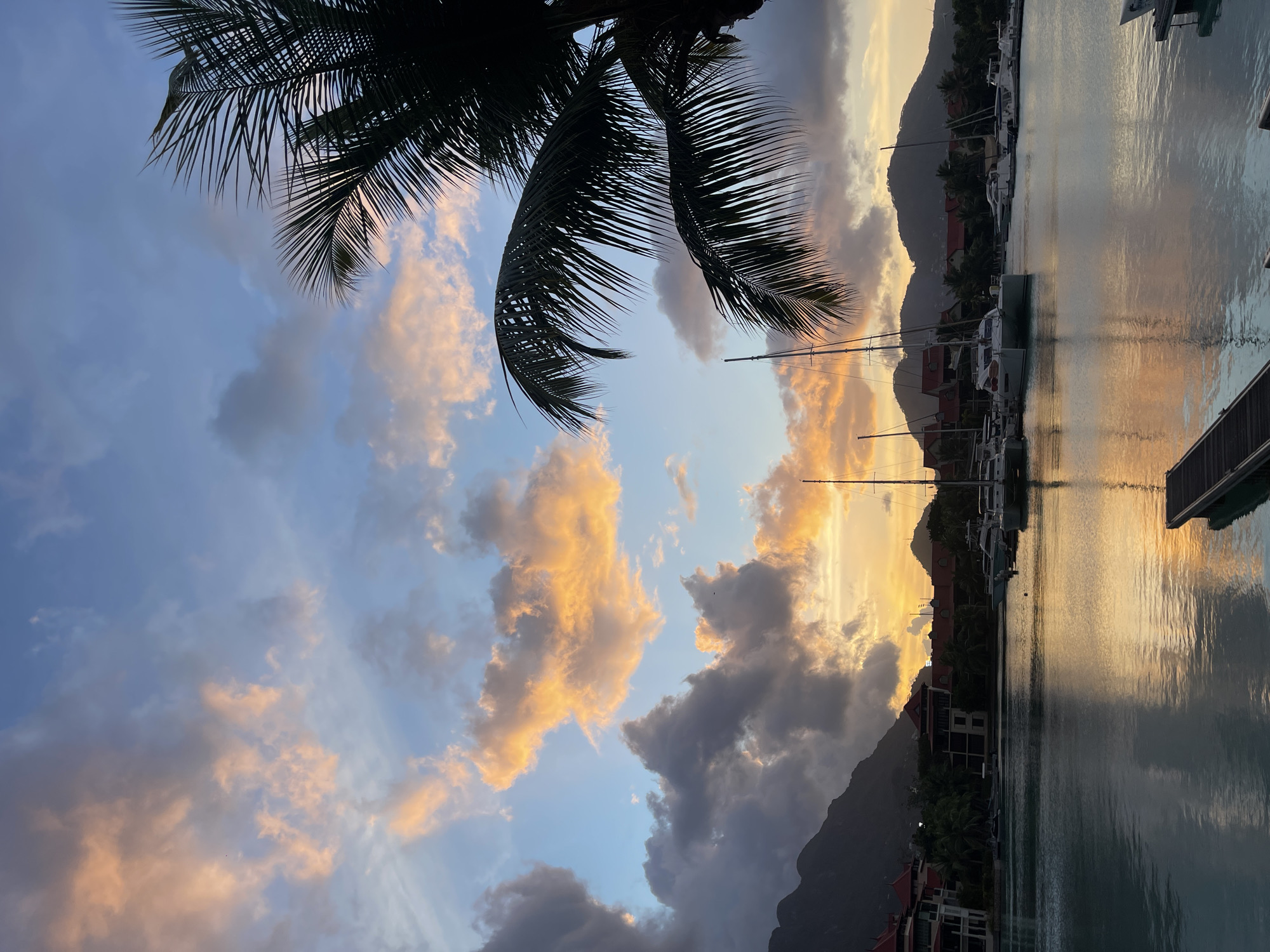 The image depicts a serene marina scene in Providence, Seychelles, during sunset. The sky is a canvas of warm oranges and pinks, with scattered grey clouds, reflecting vibrantly on the calm water. Silhouetted palm frons frame the right side of the image, adding a tropical touch. Several sailboats and yachts are docked in the marina, their masts reaching towards the colorful sky. In the background, mountains rise behind buildings with red-tiled roofs, characteristic of the Seychelles architecture. The water is tranquil, with a wooden dock extending into the foreground on the right. The overall atmosphere is peaceful and picturesque, capturing the beauty of a tropical evening.