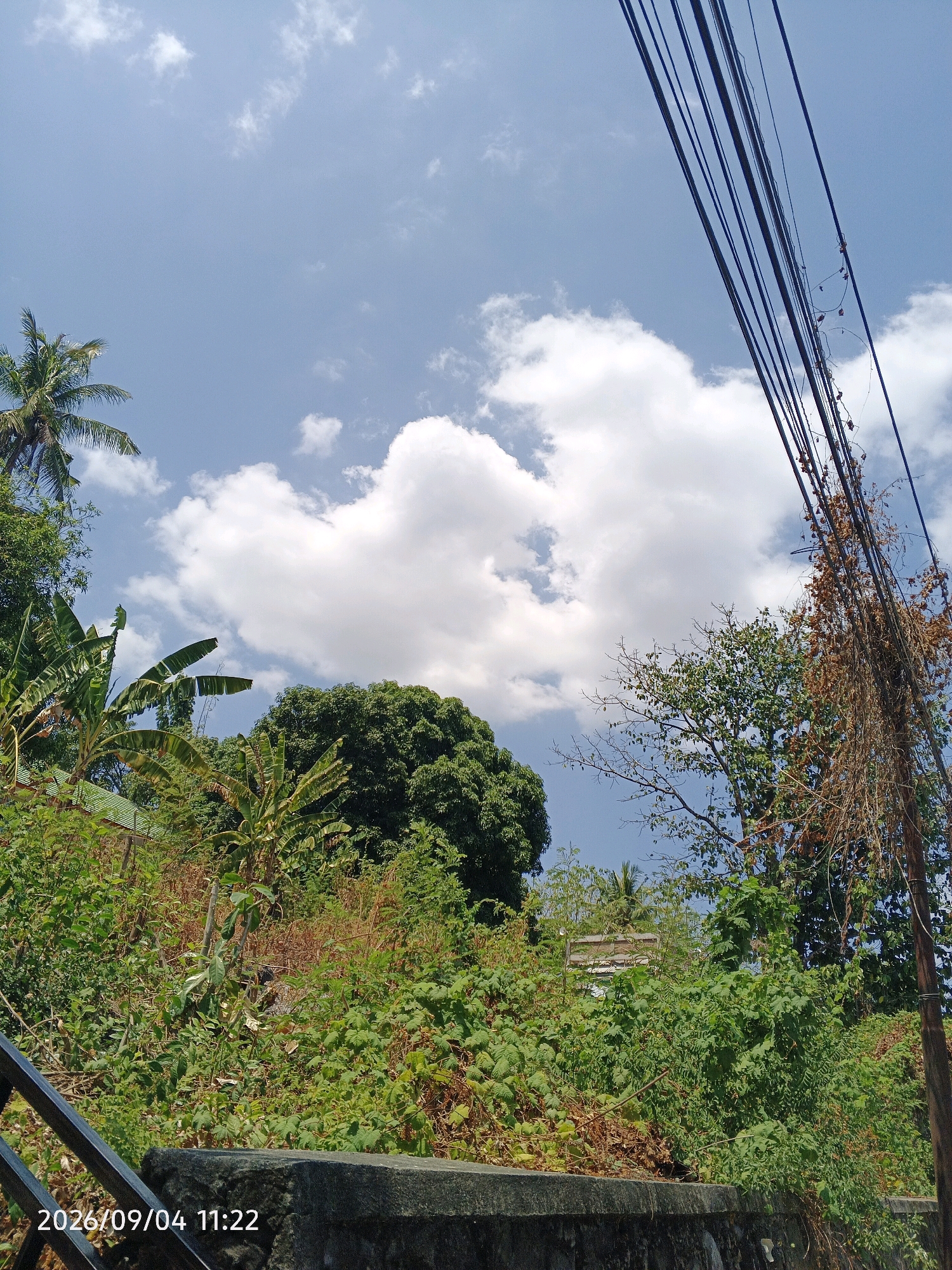The image depicts an outdoor scene under a clear blue sky with scattered white clouds. In the foreground, there is a grey concrete wall and the top of a black metal railing. The background is filled with lush green vegetation, including palm trees, banana trees, and dense bushes. Several power lines are visible in the upper right portion of the frame, running diagonally across the sky. A small building with a light-colored roof is partially visible amongst the trees in the middle ground. The overall environment suggests a tropical or subtropical location. The timestamp in the lower left corner indicates the photo was taken on September 4, 2026, at 11:22 AM. The scene appears to be a residential area or a natural landscape adjacent to human infrastructure, common in many parts of Pare-Pare, Indonesia, given its tropical climate and abundant vegetation.