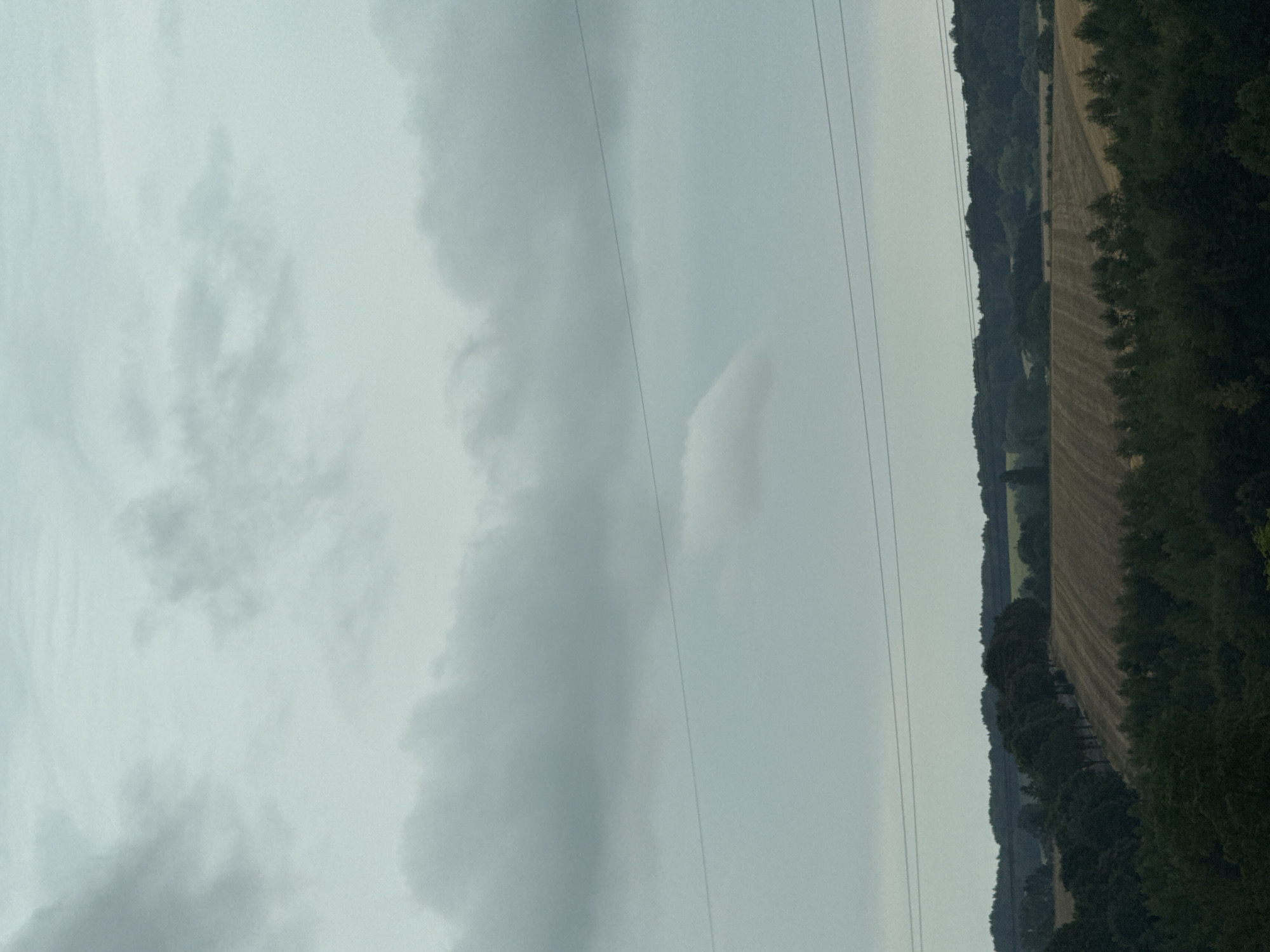 The image depicts a rural landscape under an overcast sky. In the foreground, a dense line of dark green trees forms a natural boundary. Beyond this, a harvested field with golden stubble stretches across the middle ground. A row of trees lines a gentle slope leading up from the field, and further in the distance, rolling hills covered in dark green foliage create a layered effect. Several thin, dark power lines traverse the sky horizontally, disappearing towards the edges of the frame. The overall atmosphere is subdued and natural, indicative of a temperate climate. The scene is likely located in or around Bad Lauterberg im Harz, Germany, given the characteristic landscape of the Harz Mountains region.