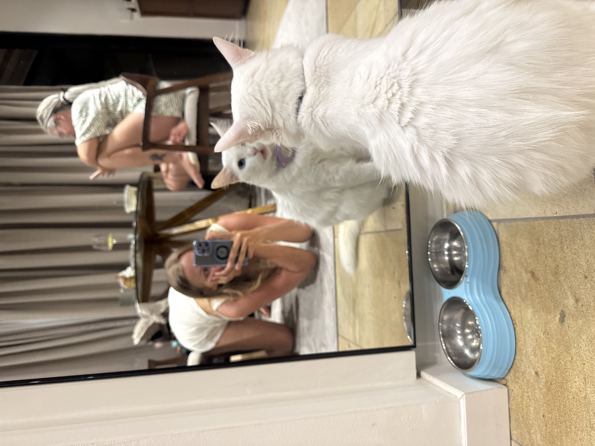 A person is taking a mirror selfie with two white cats in a room, possibly in Ungasan, Indonesia. The mirror reflects the person crouching while holding a smartphone with a blue case in front of their face. The two white cats are in the foreground. There is a light-blue double cat food bowl on the side. The room appears to have tiled flooring. Reflected in the mirror is another person sitting on a chair.