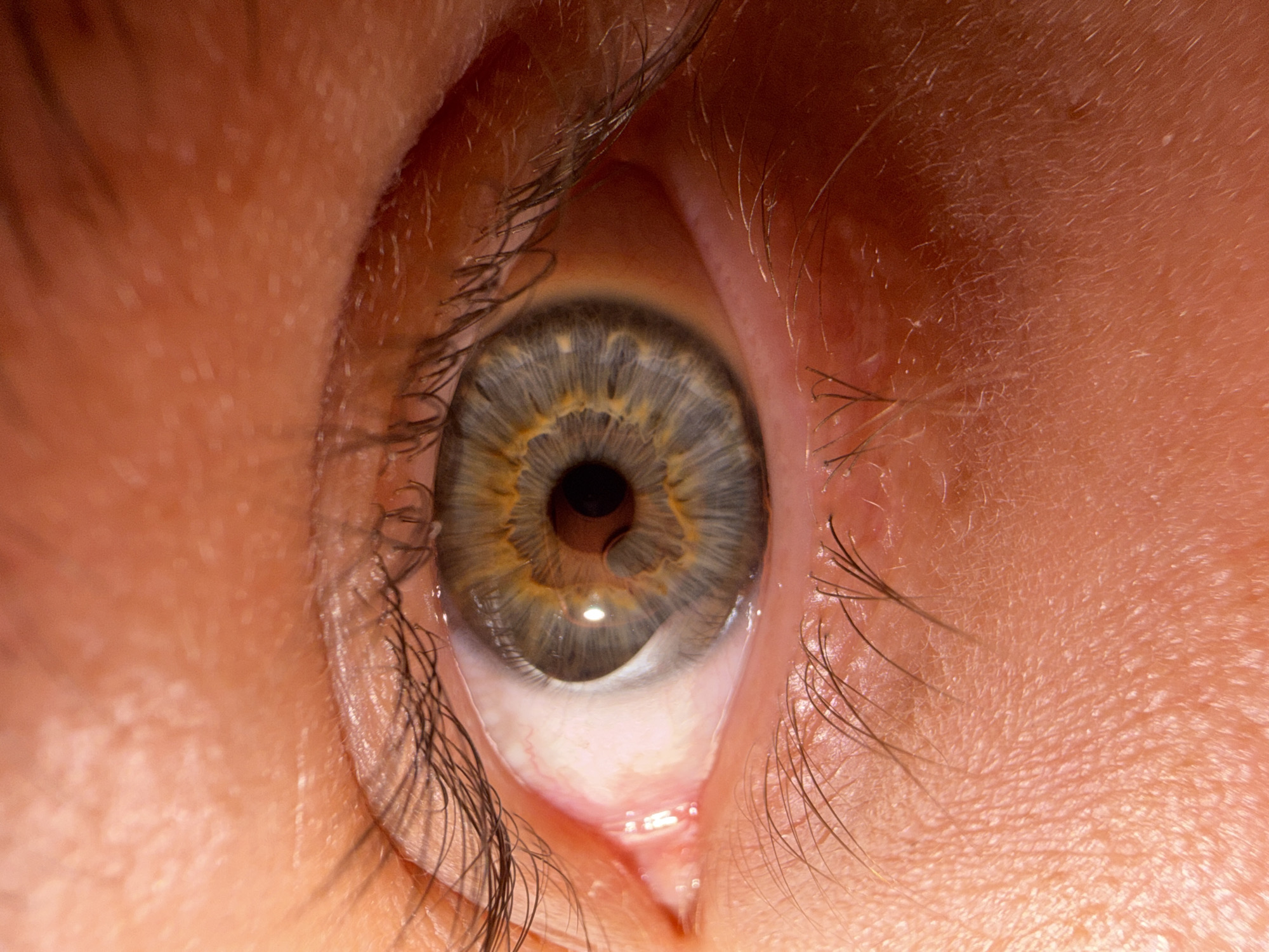 The image is an extreme close-up of a human eye. The iris is a striking blue-grey with flecks of yellow and brown around the pupil. Eyelashes frame the eye, some appearing darker and more prominent than others. The skin surrounding the eye shows texture, with pores and fine lines visible. The lighting suggests an artificial source, highlighting the details of the iris and skin. There is no indication of the location in Bangkok, Thailand, nor any environmental context beyond the immediate area of the eye. The image is purely a macro photograph of an eye.