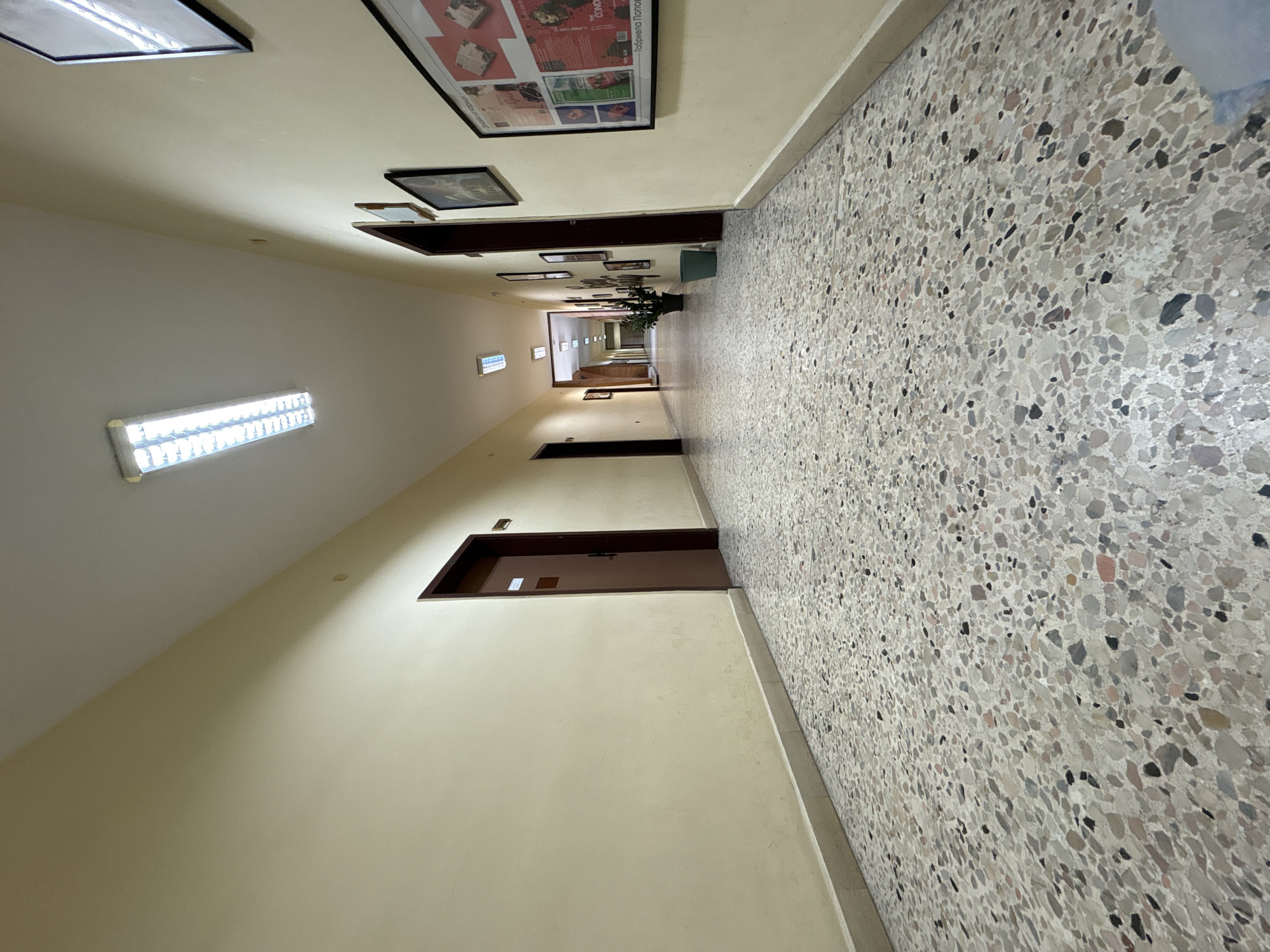 This media file depicts a long, empty indoor hallway within a public or institutional building, located in Plovdiv, Bulgaria. The perspective is from one end, looking down the brightly lit corridor, which appears clean and well-maintained.
The floor features a distinctive terrazzo or mosaic pattern composed of numerous small, irregularly shaped aggregate chips in shades of grey, black, white, and light pink/red set in a light-colored matrix. The walls are painted a uniform creamy yellow or beige, complemented by an off-white ceiling.
The hallway is illuminated by artificial fluorescent lights; several rectangular fixtures are visible on the ceiling, and one is prominently mounted on the left wall. Multiple dark brown doors with lighter frames line both sides of the corridor, indicating access to various rooms. Some of these doors include small, rectangular window-like openings near their tops.
Decorative elements are present on the right wall. These include a large framed poster or bulletin board displaying several smaller images and text in Cyrillic script. Below this, several other framed pictures hang. Further down the hallway on the right side, a green potted plant adds a natural touch.
No people or specific activities are observed, giving the hallway a quiet and functional atmosphere. Visible Cyrillic text on the large poster includes "ТОРБИЧКА" (bag), "СЛАДКАРНИЦА" (pastry shop), "СОКОЛ" (falcon, partially visible), "Таблетка Попова" (Popov's Tablet), and a partial view of "БЪЛГАРИЯ" (Bulgaria).