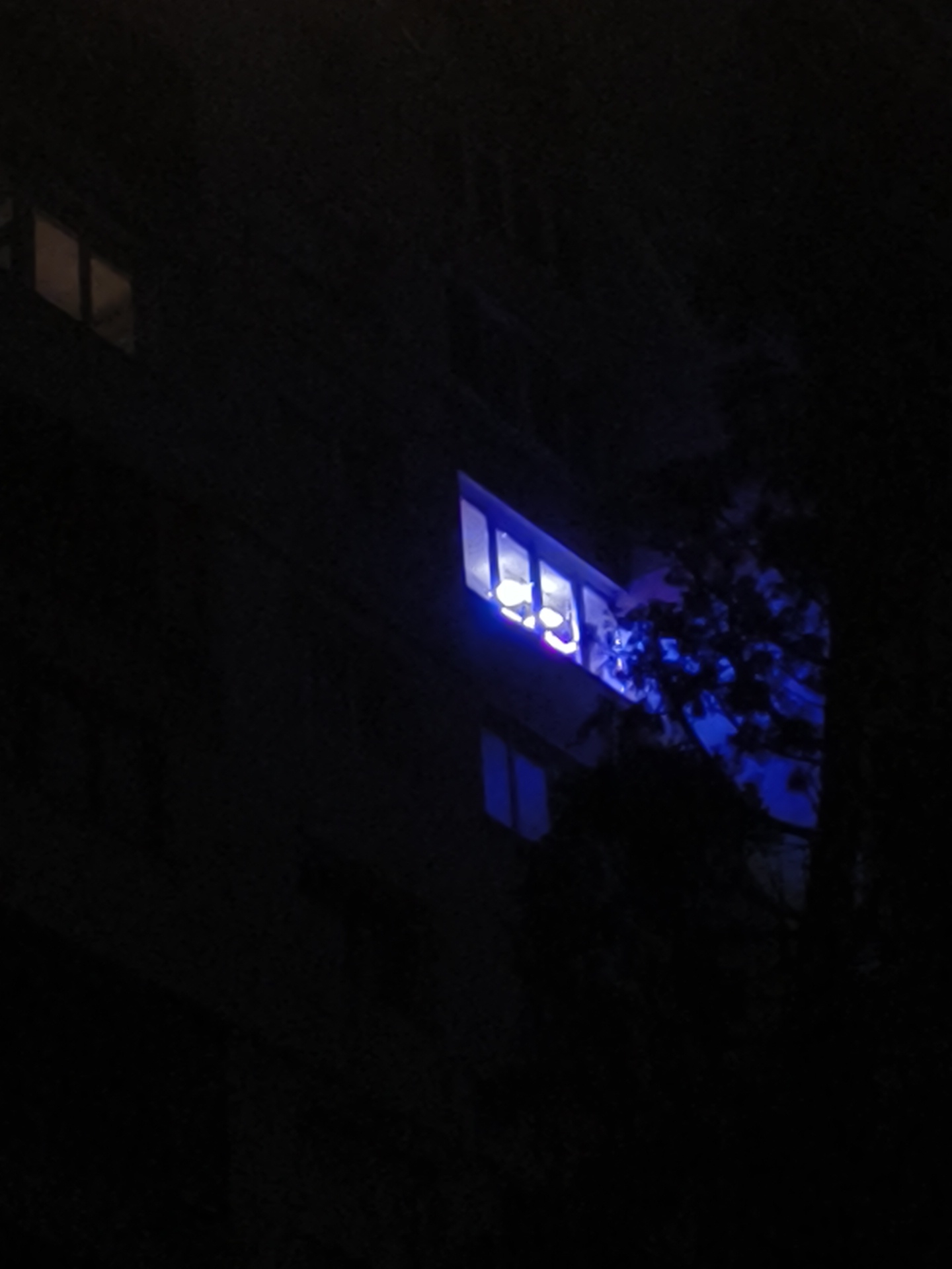 At night, an apartment building in Sofia, Bulgaria, is partially obscured by tree branches. One lit window is visible on the building, glowing with a bright blue light, which reflects off the nearby foliage. A few indistinct objects can be seen within the window. Another window above it, is lit with a more standard-looking light, while yet another window can be seen below, yet it is difficult to discern any further details due to the overall darkness of the image.