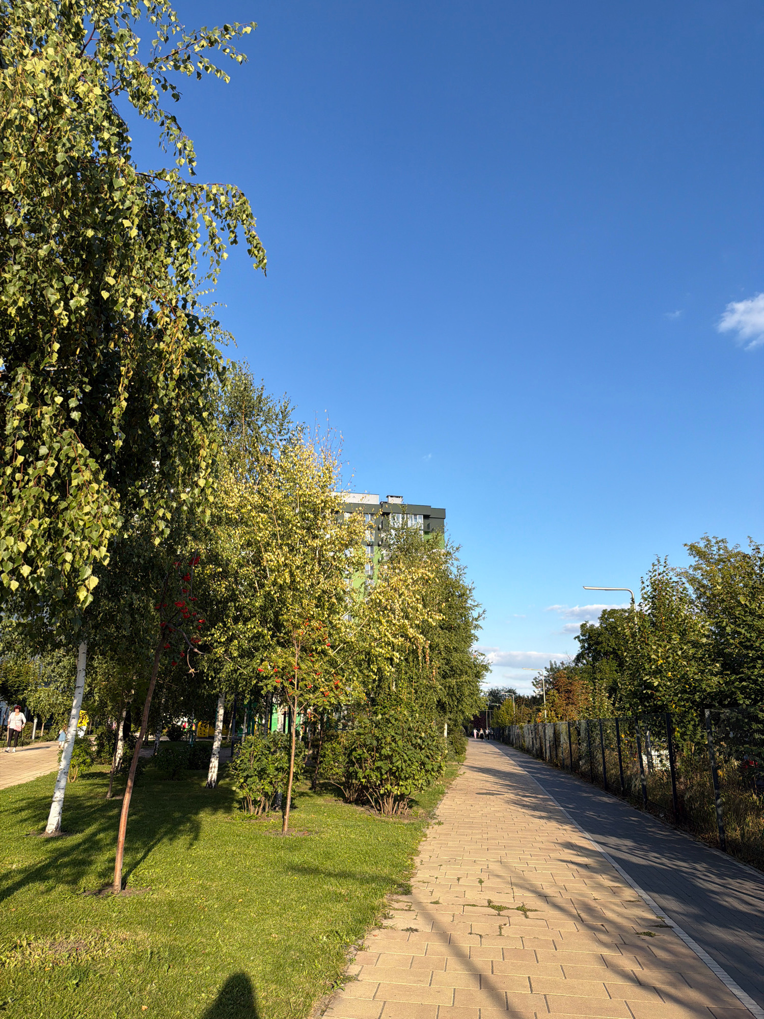 This image depicts a sunny day in a park-like urban area, likely in Kyiv, Ukraine. The scene is dominated by a clear blue sky with a few wispy clouds. On the left, a paved walkway runs alongside a grassy area with several trees, some of which have white bark and green leaves, possibly birch trees, and others with yellowing leaves and red berries, suggesting Rowan trees. The walkway is made of light-colored rectangular pavers.
Further down the walkway, the path curves slightly and is bordered by a fence. Beyond the fence, there is a road or a darker paved area. In the distance, a modern multi-story building with a green facade is visible. Several people are walking along the path, appearing as small figures in the distance, their actions suggesting leisure or commuting. The lighting indicates it is daytime, with shadows cast by the trees on the grass and walkway, suggesting the sun is to the right of the viewer. The overall impression is one of a well-maintained urban recreational space.