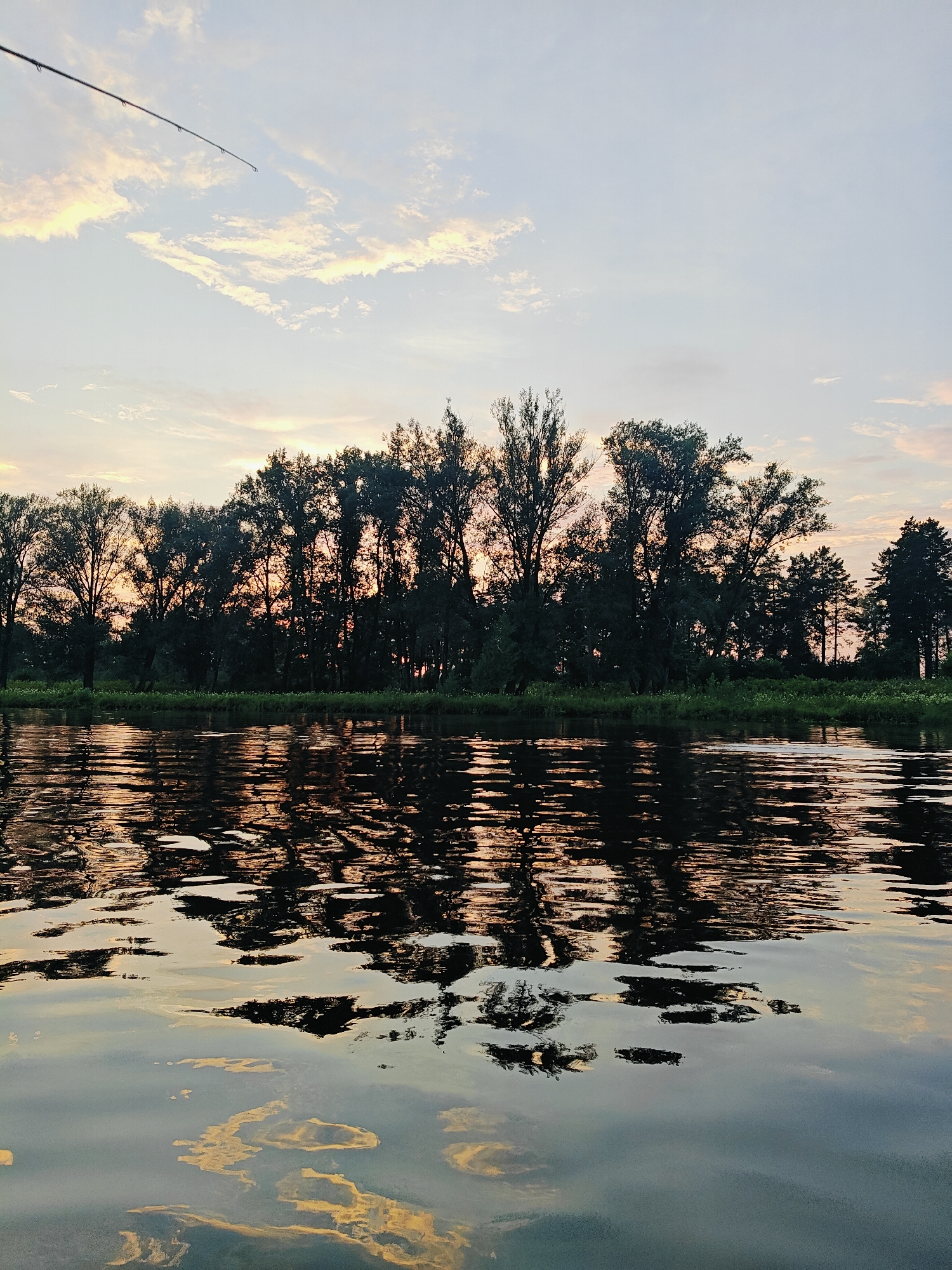 A serene river scene unfolds in Noviy, Russia, under a pale sky painted with soft clouds at dusk. A fishing rod, its tip just visible in the upper left corner, suggests a moment of quiet repose. The far bank is densely lined with a silhouette of tall trees, their dark forms stark against the warm hues of the setting sun reflecting on the water's surface. The river itself mirrors the sky and trees, creating a shimmering tapestry of light and shadow. The overall atmosphere is one of tranquility and natural beauty, capturing the peaceful end of a day by the water.
