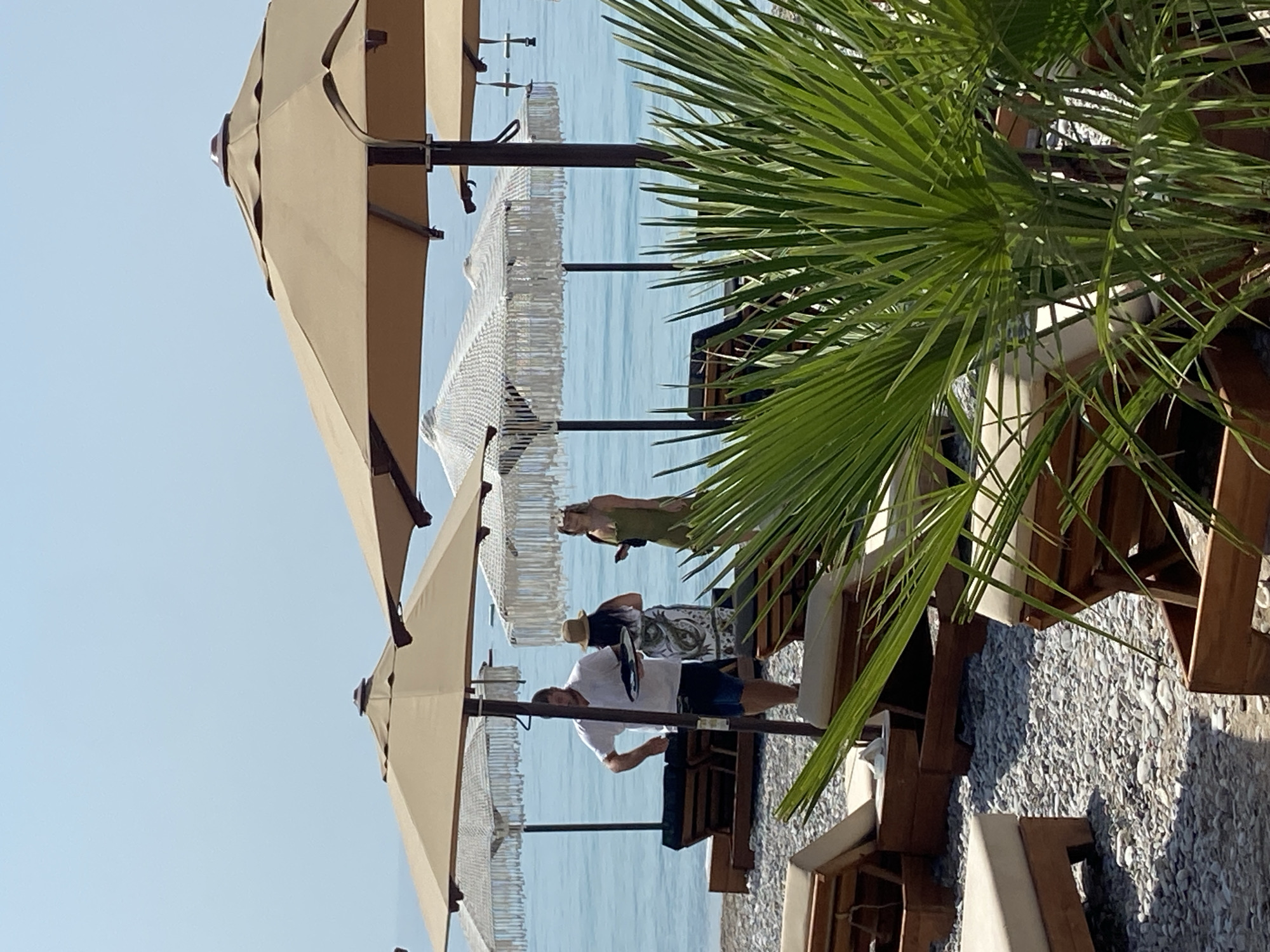 The image depicts a beach scene in Prijevor, Montenegro, with several large, tan beach umbrellas providing shade over empty lounge chairs. In the middle ground, a man in a white polo shirt and dark shorts is holding a tray, seemingly serving guests. Beside him, a woman in a white dress and a straw hat is standing, and another woman in a green dress is looking at her phone. The beach is covered in small, grey pebbles, and the calm, blue sea stretches out to the horizon under a clear sky. A lush green palm frond is visible in the foreground, partially obscuring the view of the lounge chairs.