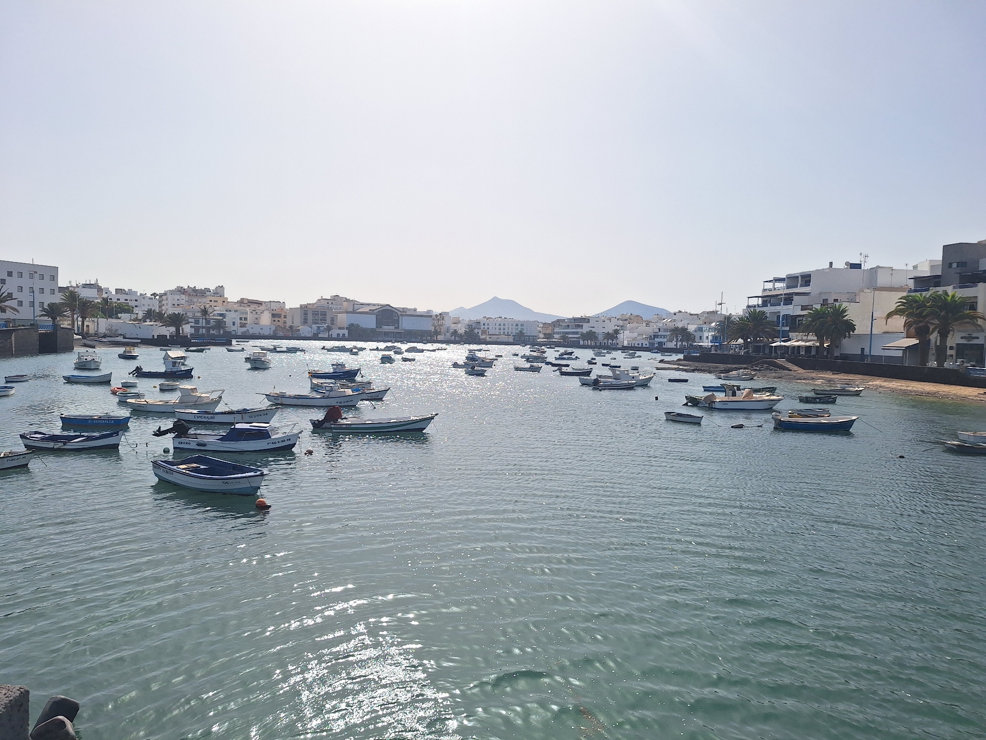 The image depicts a wide view of a harbor in Arrecife, Spain, filled with numerous small boats of various sizes and colors. The water is calm and reflects the sunlight, creating a shimmering effect. In the background, the city skyline is visible, characterized by white buildings with balconies and some palm trees. The sky is clear and pale blue, suggesting a sunny day. The boats are mostly moored, with some appearing to be fishing boats and others recreational vessels. The scene is peaceful and captures the essence of a coastal town.