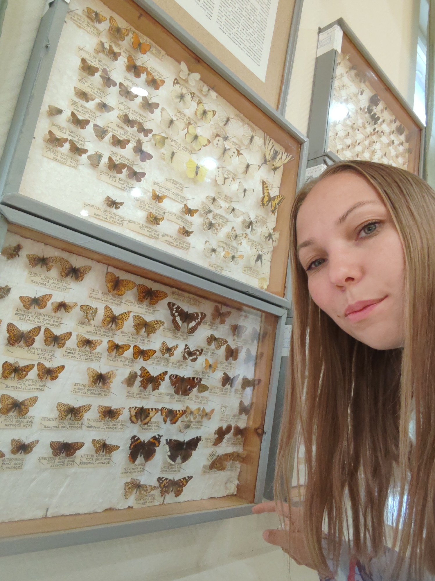 In Vizinga, Russia, a young woman with long blonde hair is standing in front of two display cases filled with mounted butterflies. The woman is positioned on the right side of the image, looking towards the camera with her head slightly tilted. Her right hand is visible, extended towards the lower display case. The display cases are made of wood and glass, with the butterflies mounted on white paper backgrounds. Each butterfly has a small label beneath it. The top display case appears to contain a variety of butterflies, mostly light-colored with some brown and yellow specimens. The bottom display case also contains a collection of butterflies, with a greater emphasis on brown and orange hues. The background of the scene shows a wall with another framed item, possibly a document or poster, and part of another display case. The overall lighting suggests an indoor environment, likely a museum or exhibition.