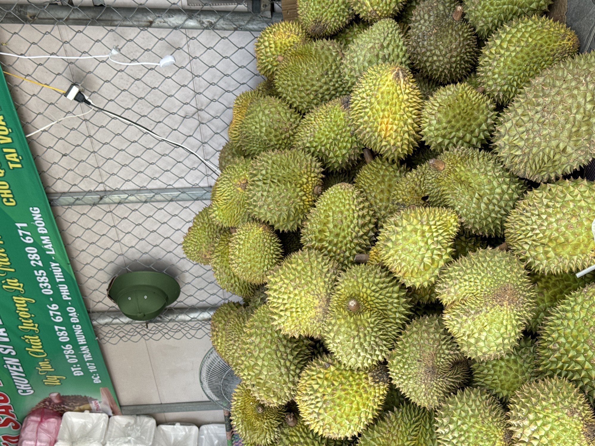 The scene captures a substantial, multi-layered pile of spiky, green and yellow-green durian fruits in the foreground. A grey chain-link fence forms the mid-ground, behind which a dark surface is visible. Above the durians and to the upper left, a green banner with white and yellow Vietnamese text identifies the location as 107 Trần Hưng Đạo, Phú Thủy Ward, Lâm Đồng Province, Vietnam, and provides phone numbers. An olive-green military-style cap hangs on the chain-link fence to the left. Electrical wiring, including a white extension cord connected to an adapter, descends from the top of the fence on the upper right. A black oscillating fan is partially visible behind the durians on the left, beneath the banner. White, plastic-wrapped containers are stacked on the far upper left.