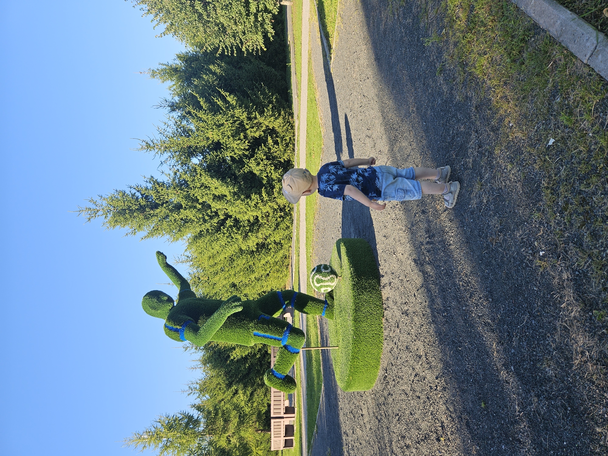 In the city of Veliky Novgorod, Russia, a young boy wearing a blue t-shirt with a palm tree print, light blue denim shorts, a beige baseball cap, and light-colored sandals stands on a gravel path, facing away from the camera. He is looking at a large, green topiary sculpture of a soccer player in mid-kick, complete with blue accents on its uniform. A topiary soccer ball is positioned near the sculpture's feet. The sculpture stands on a circular green base. The scene is set outdoors with a clear blue sky above. Behind the sculpture, a line of coniferous trees forms a backdrop. In the distance, wooden benches are visible on a grassy area. The lighting suggests it is daytime, casting shadows on the gravel path.